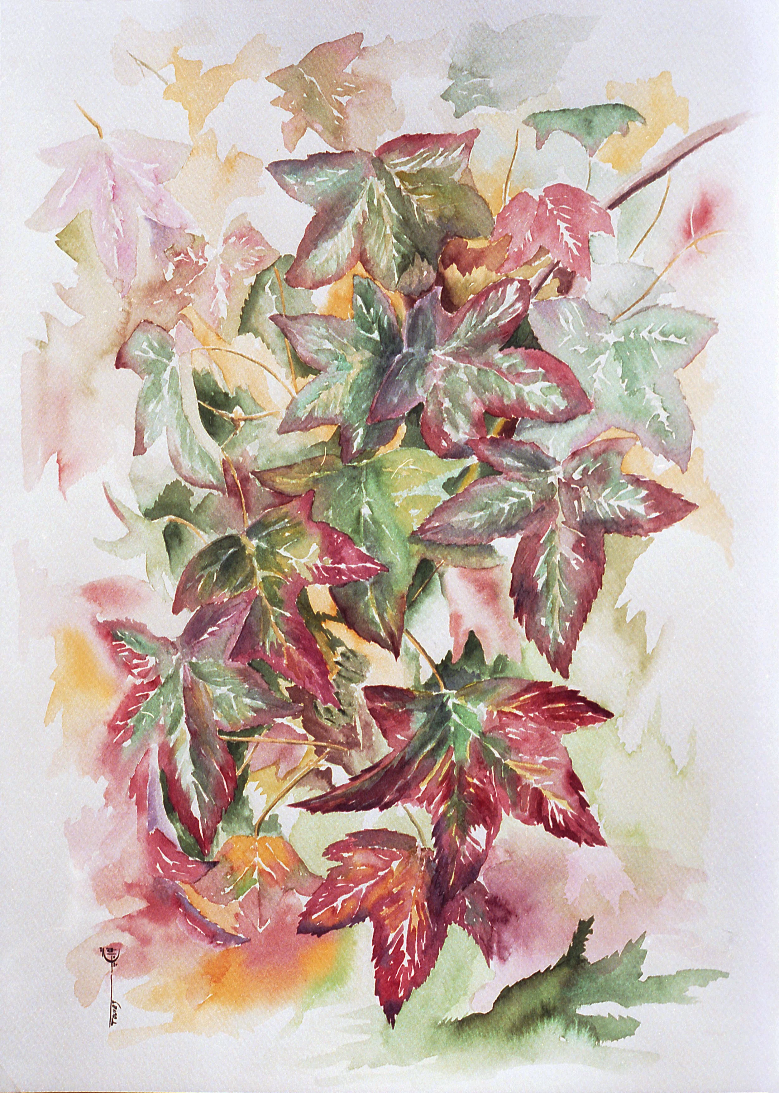 toorajstudio_watercolor_AUTMCO3A.jpg