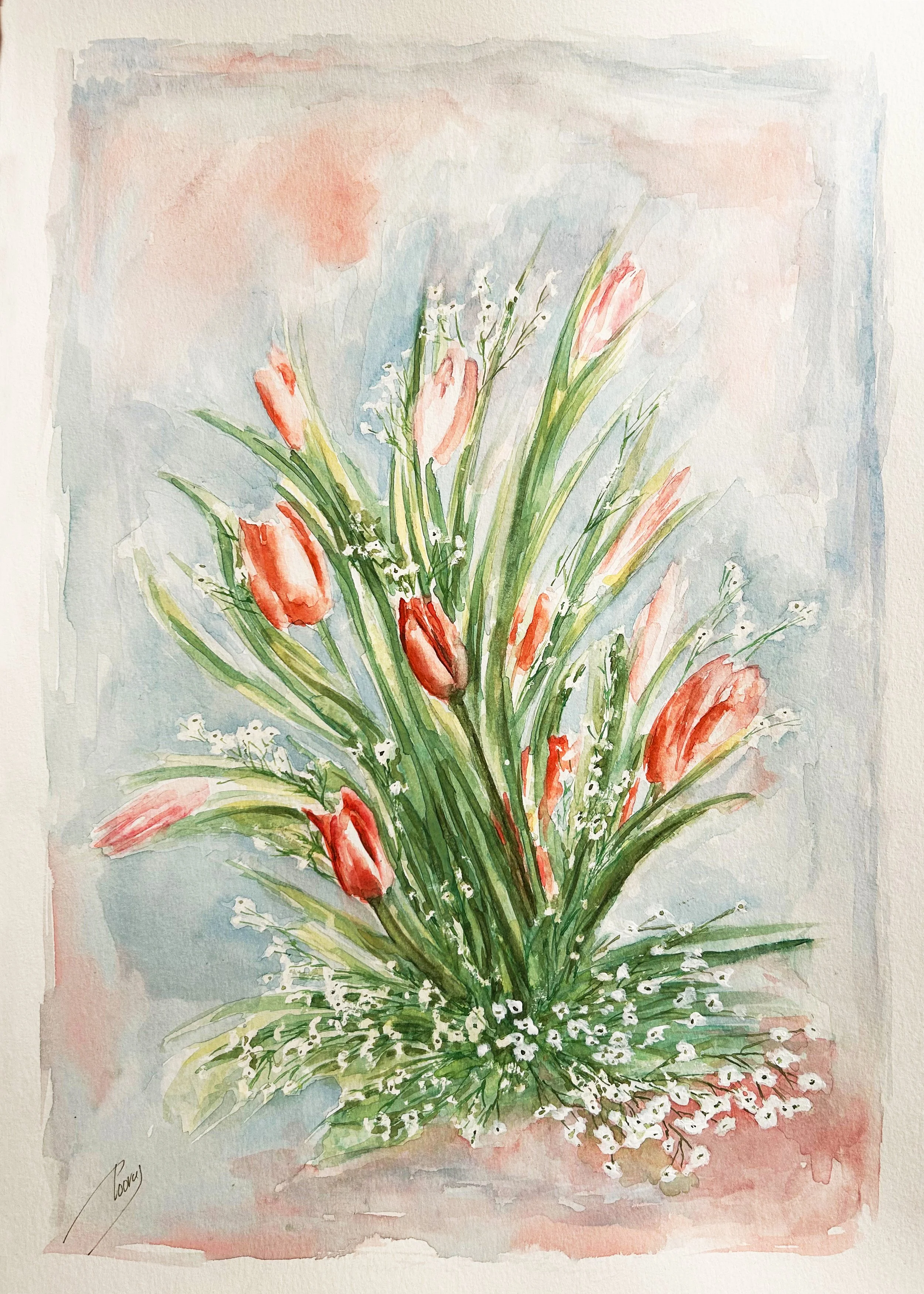 Tulip Experiment (Watercolor)   11x17   2023