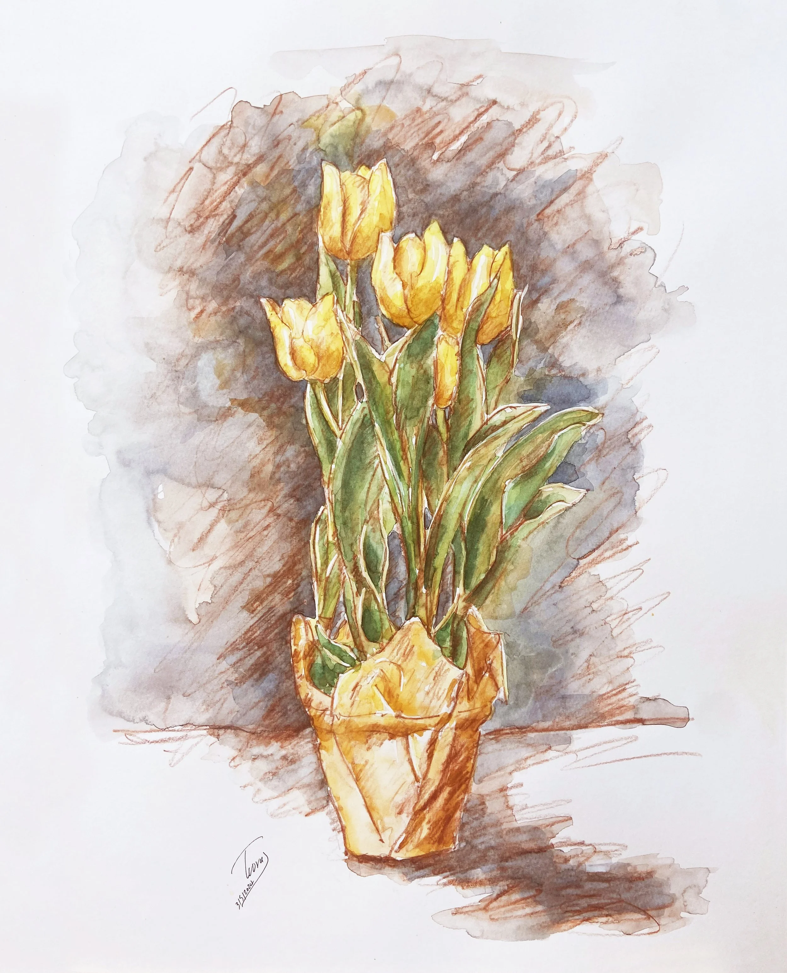 Pot of Tulip (Watercolor)   16x20   2023
