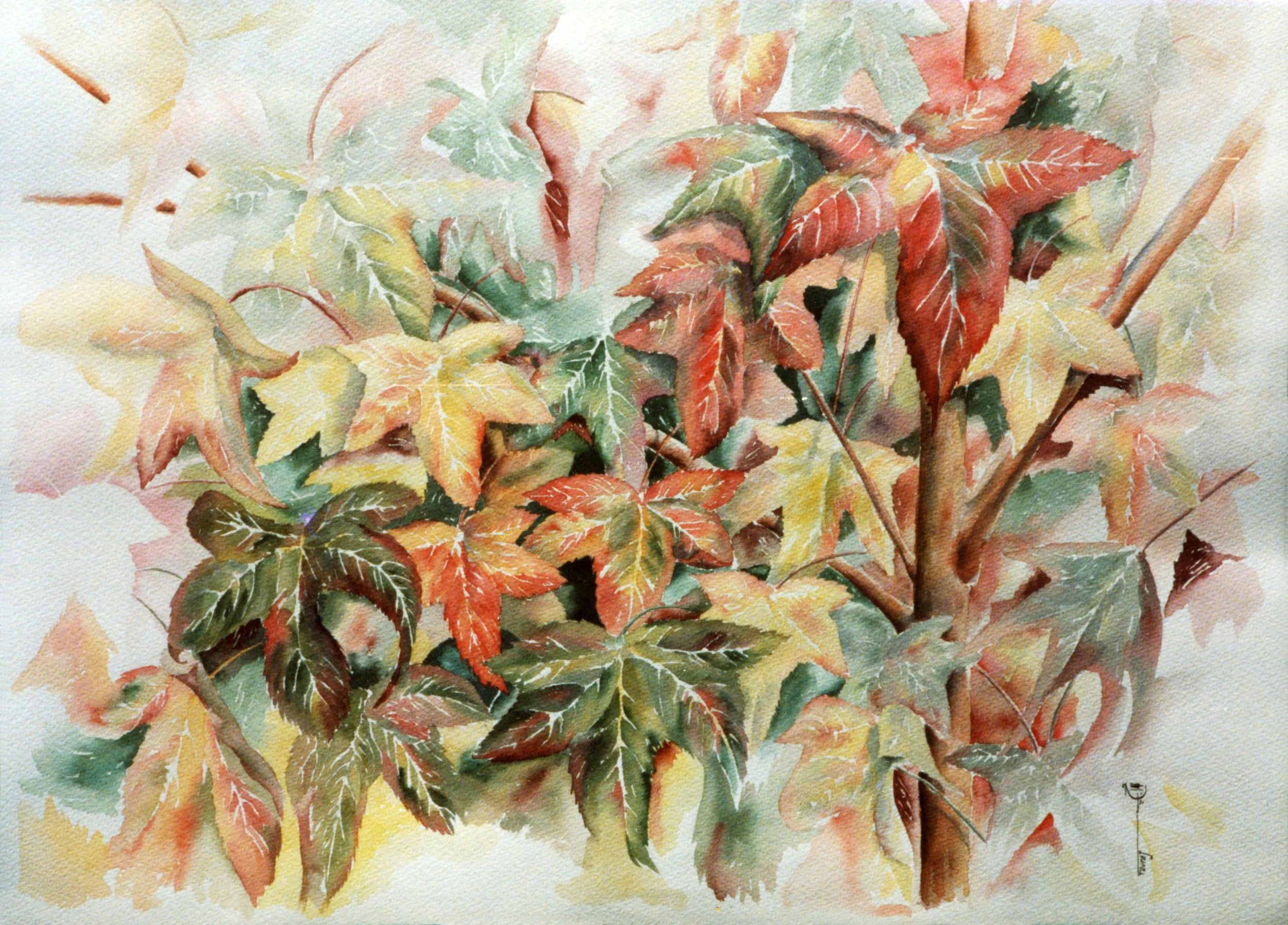Wild Leaves of Fall (Watercolor)      18x24     1987
