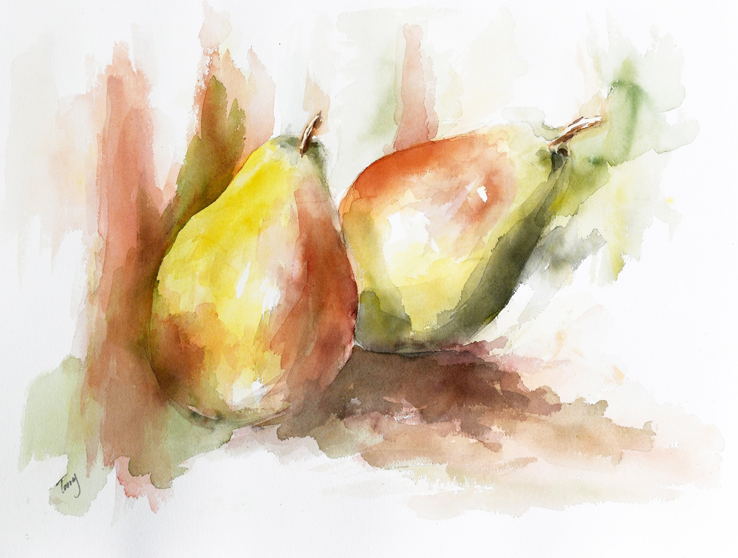 Two Pears (Watercolor)  16x20  2016