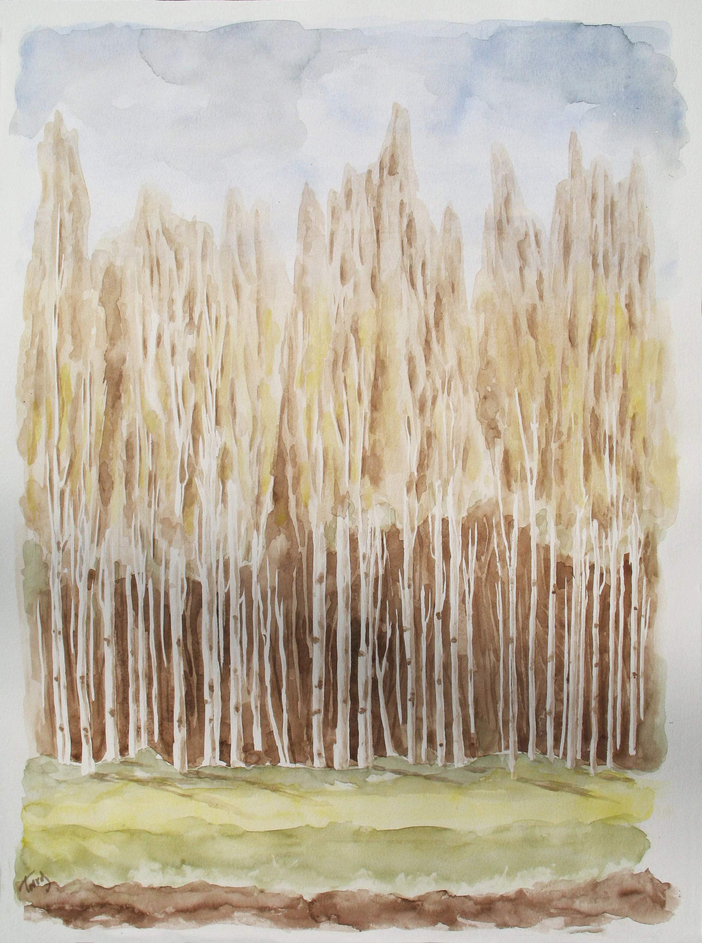 Autum Trees (Watercolor)   14x20     1994