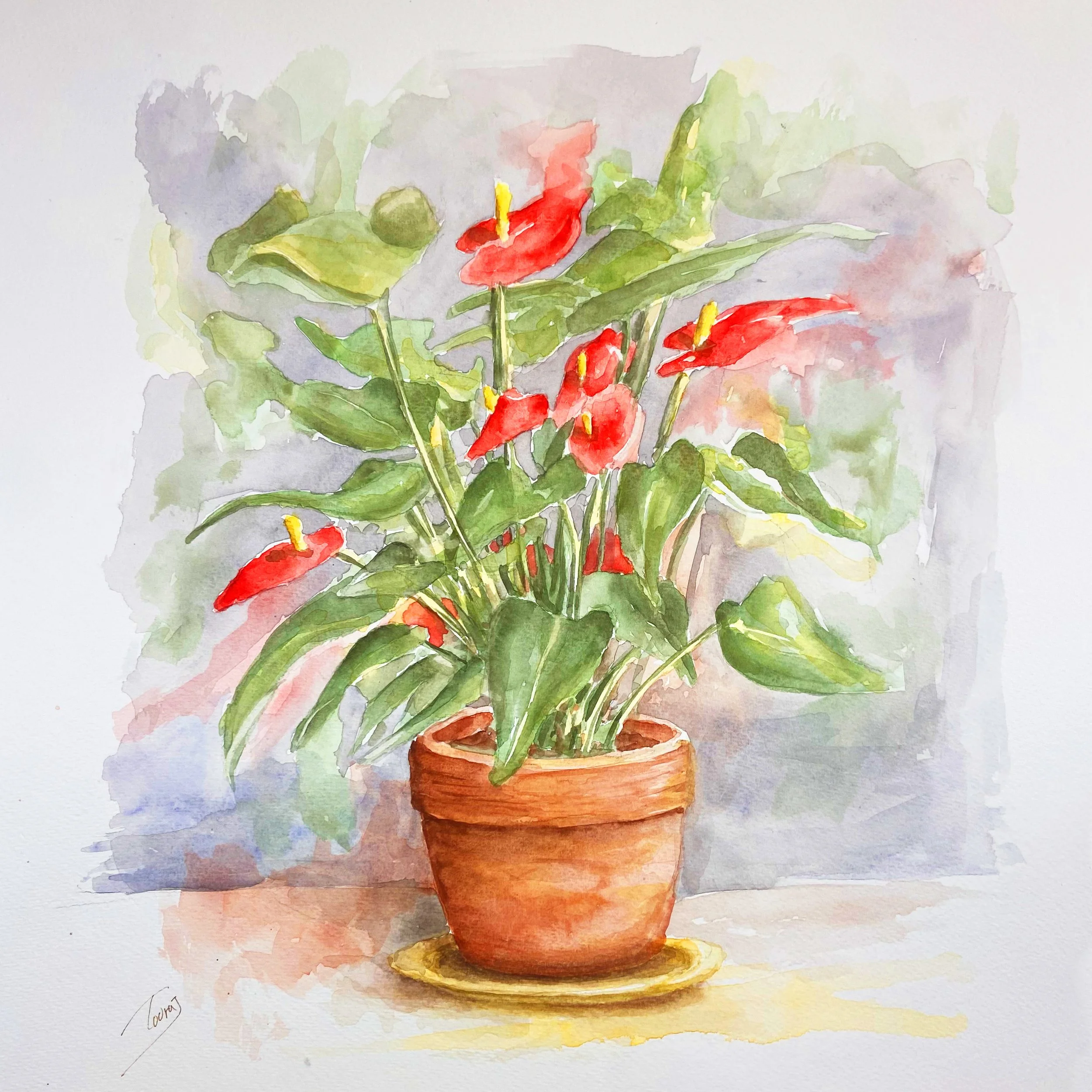 Pot of Flower (Watercolor)  16x16  2023