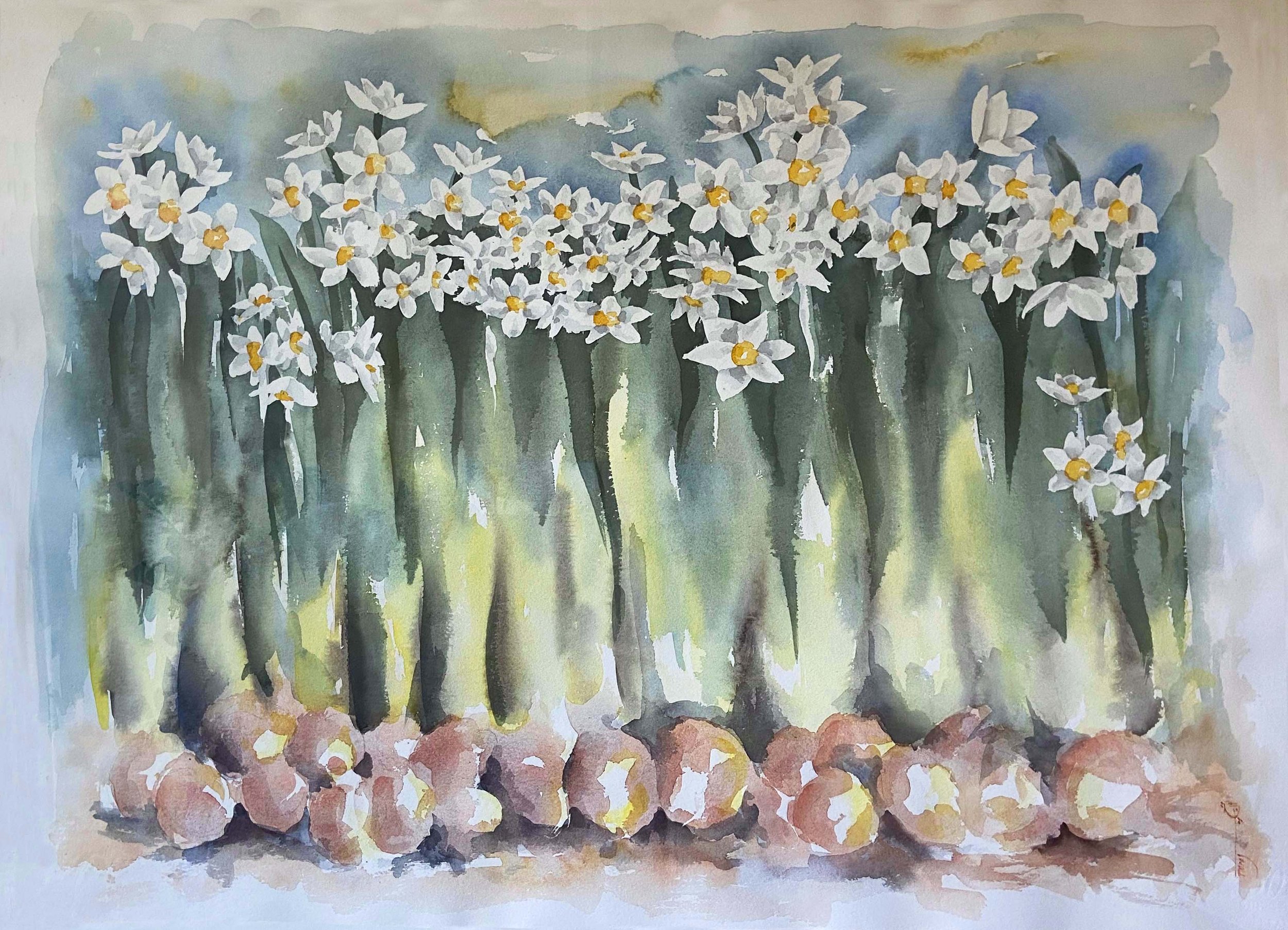 Narcissus (Watercolor)  18x24   2000