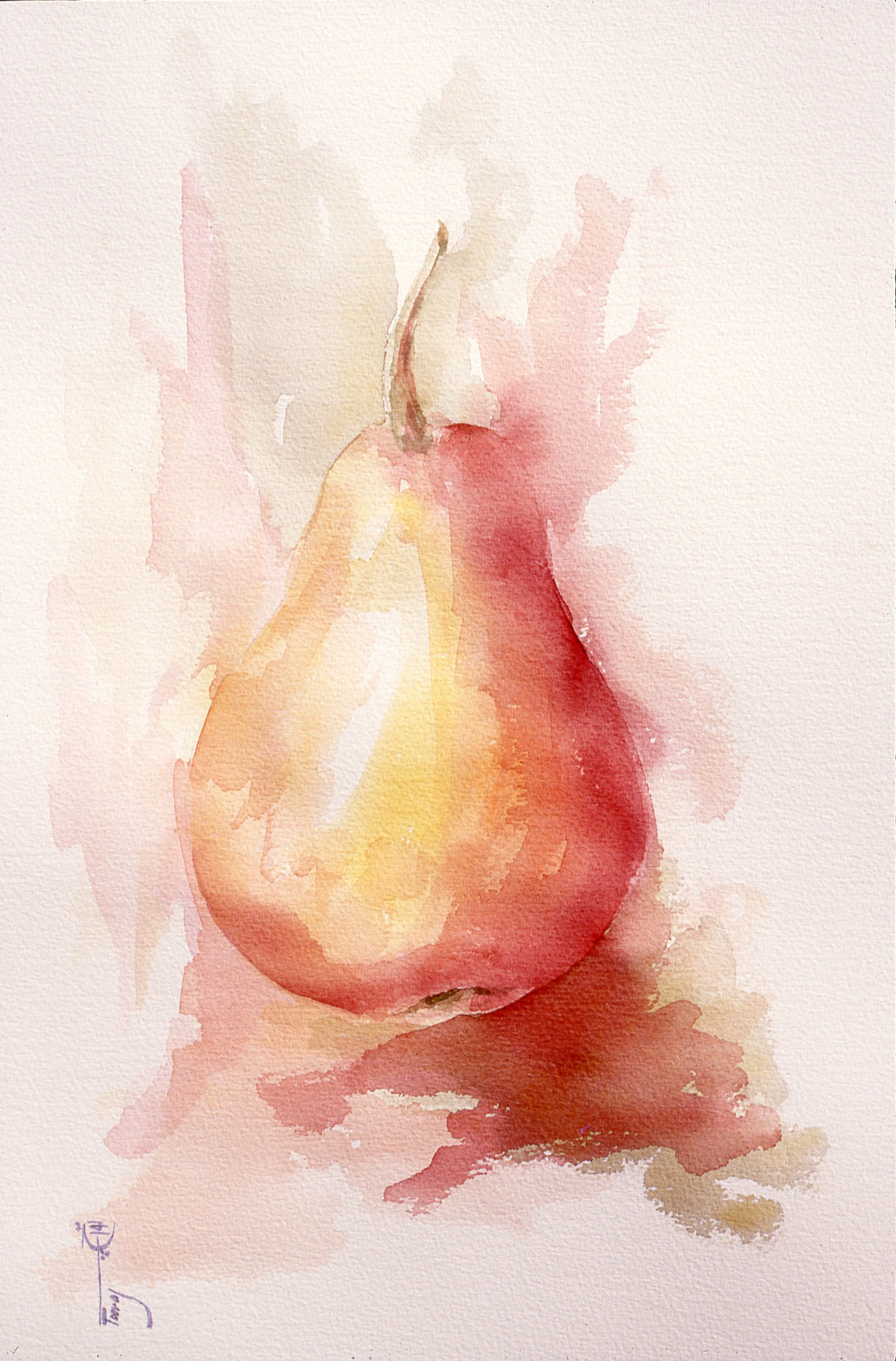 Red Pear (Watercolor)   16x20   1991
