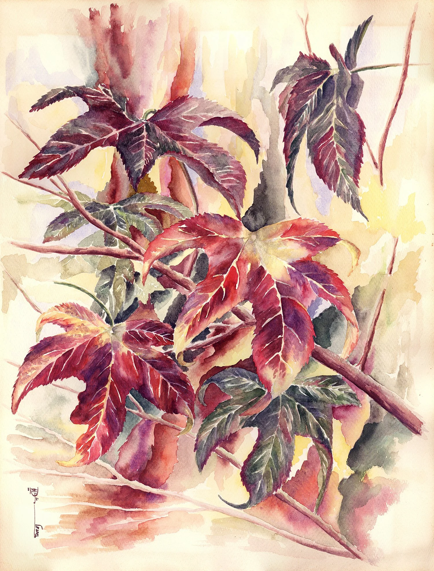 Endless Beauties (Watercolor)     18x24     1987