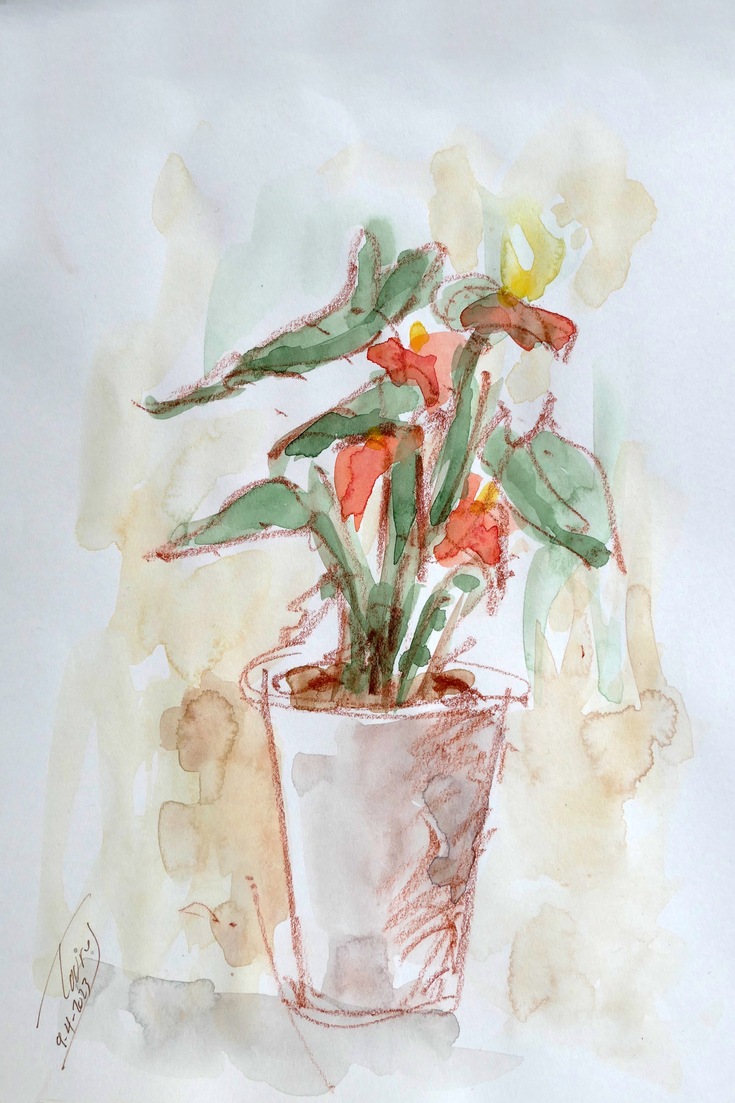 Pot of Flower (Sketch & Watercolor)   8x10   2023