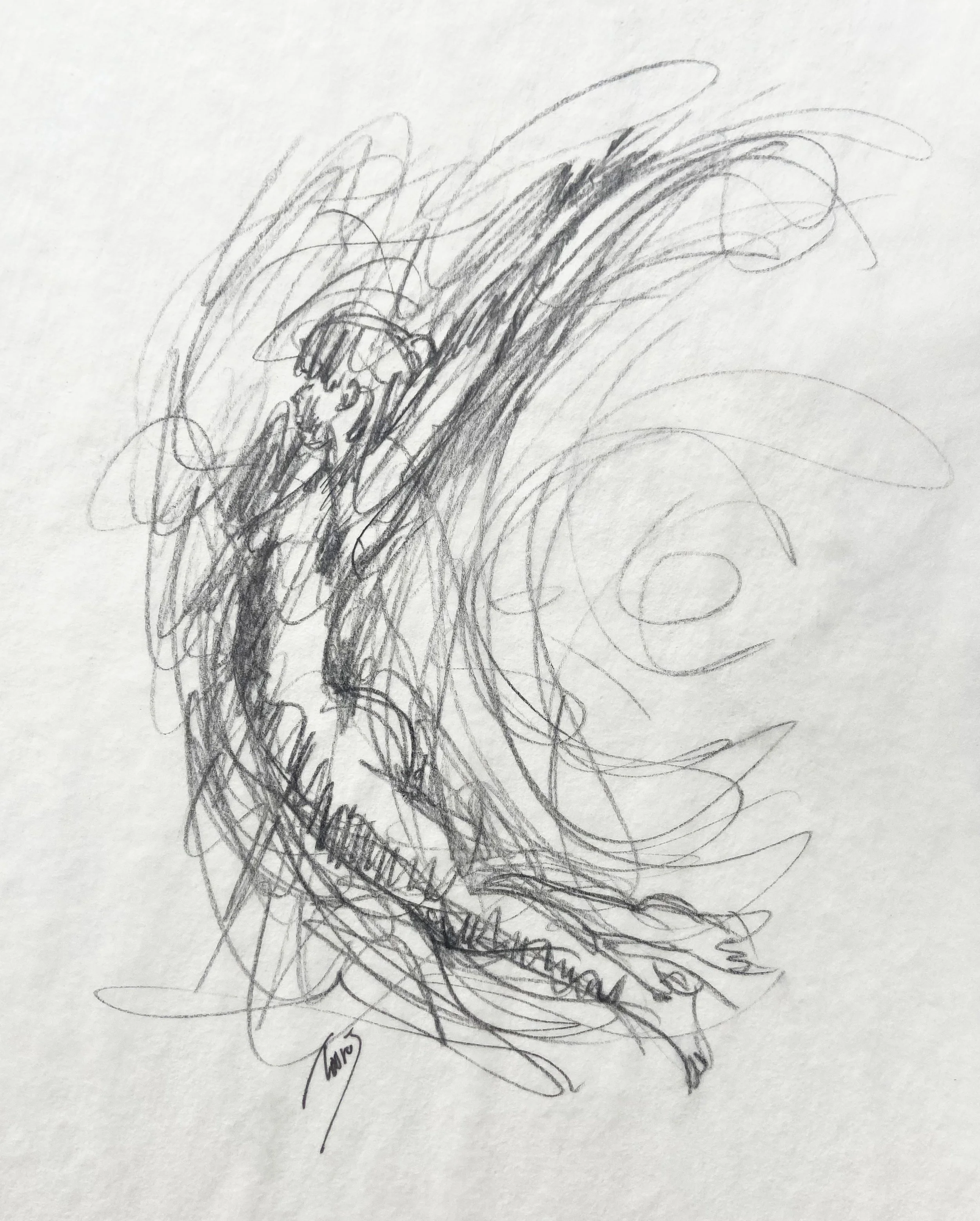 Flying Sketch     8x11     2023
