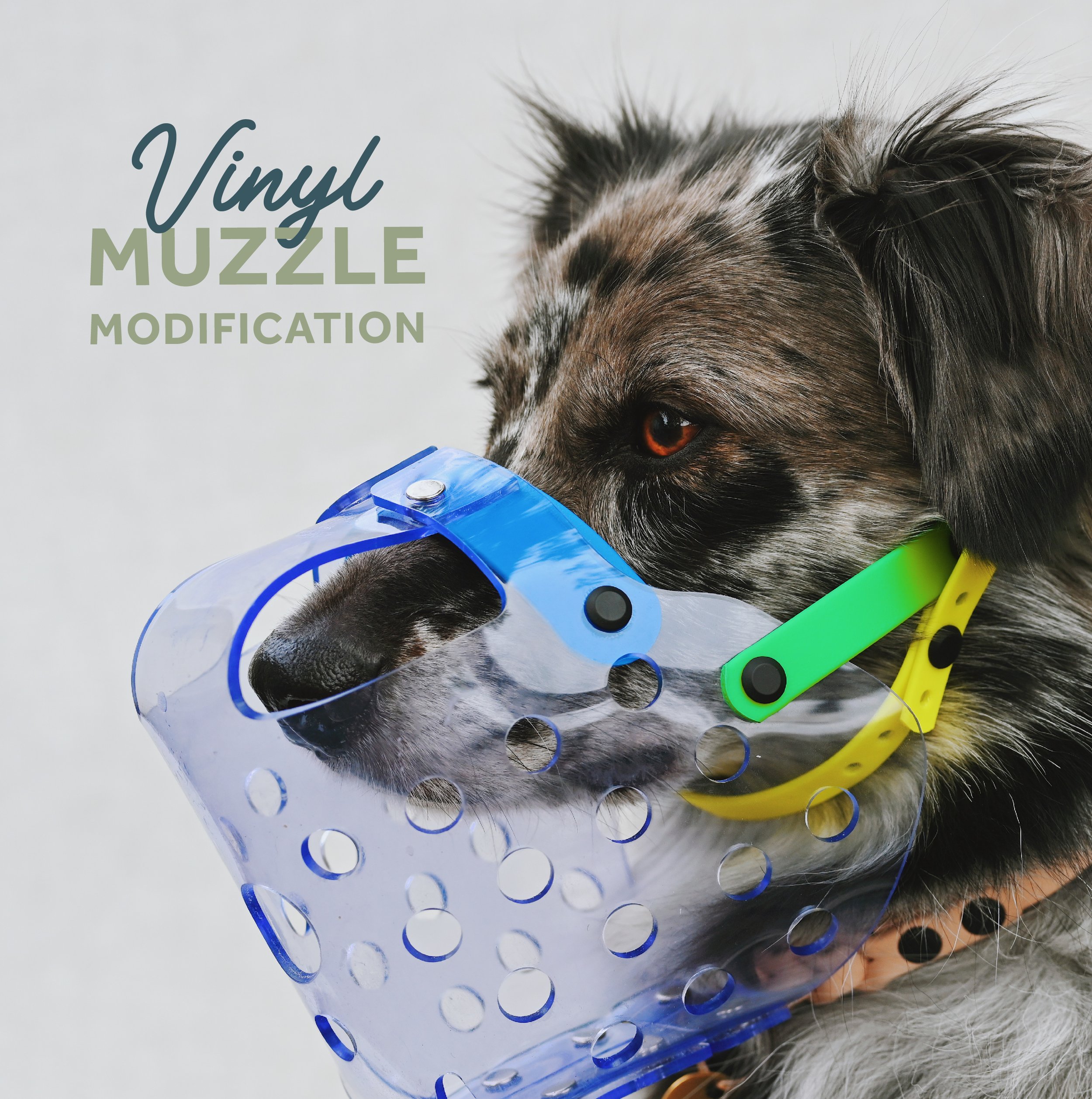 Vinyl Muzzle Modification.jpg