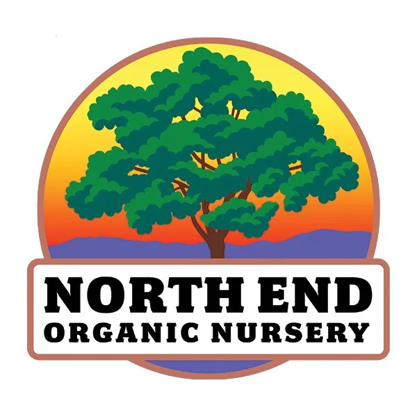 NEON - 3777 W Chinden Blvd, Garden City ID