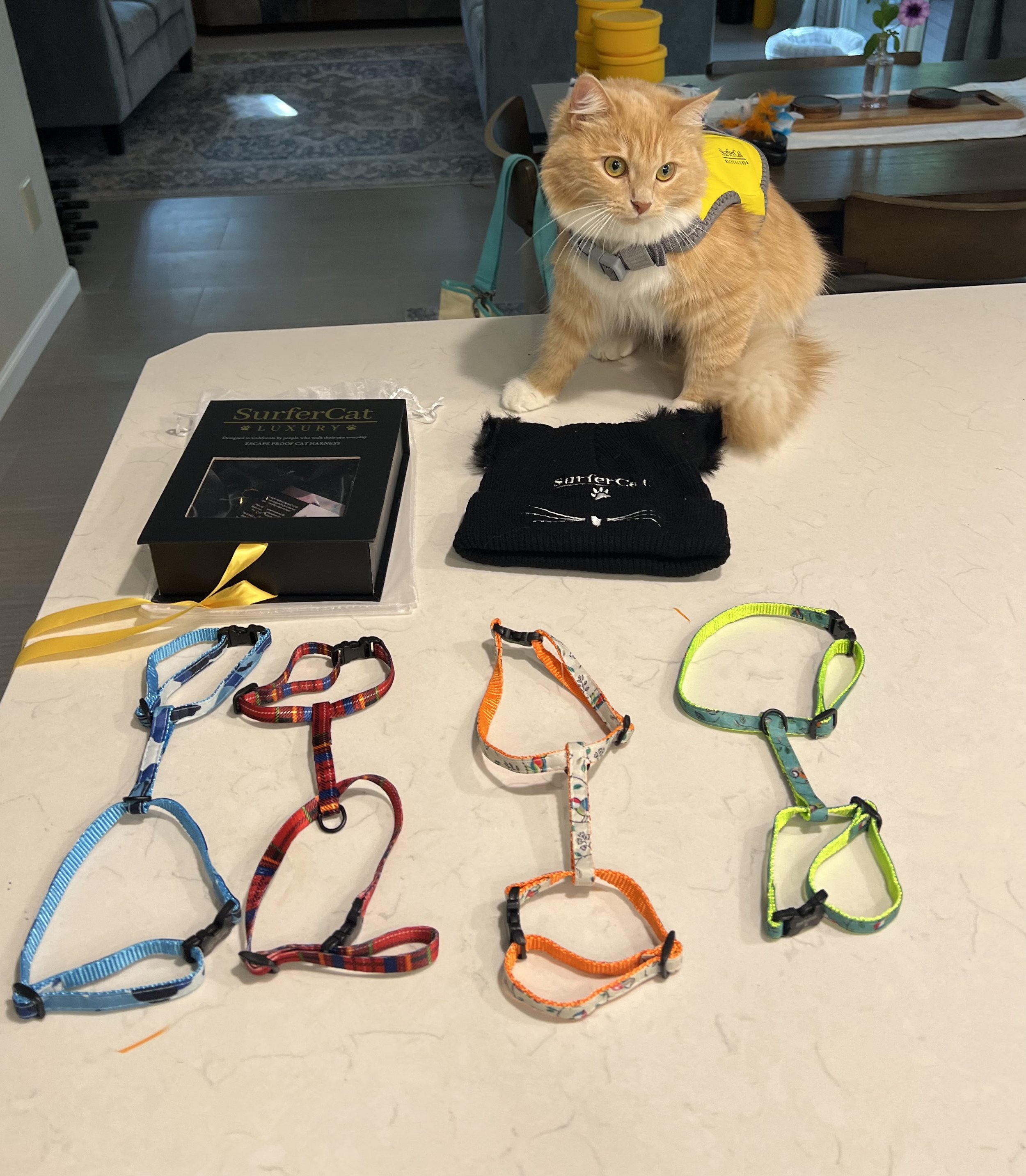 Surfer Cat Luxury Harness