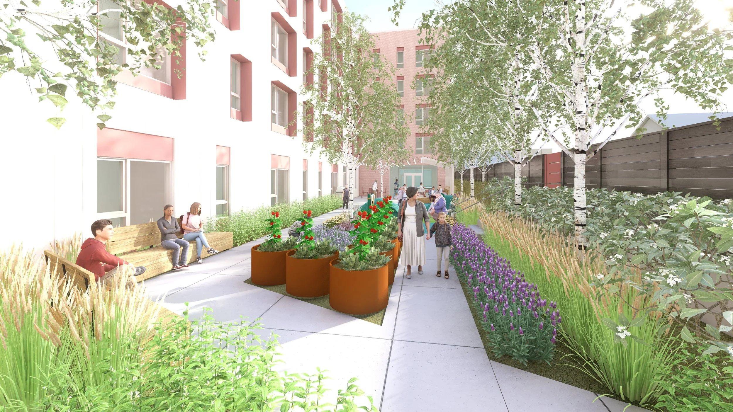 View 4 Looking South From Community Garden.jpg