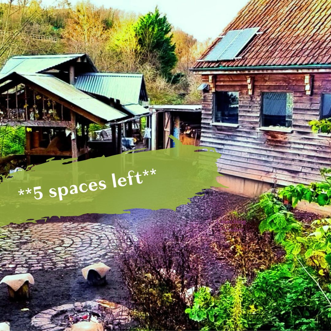 Women’s Hearth & Drum Circle (5 spaces left)