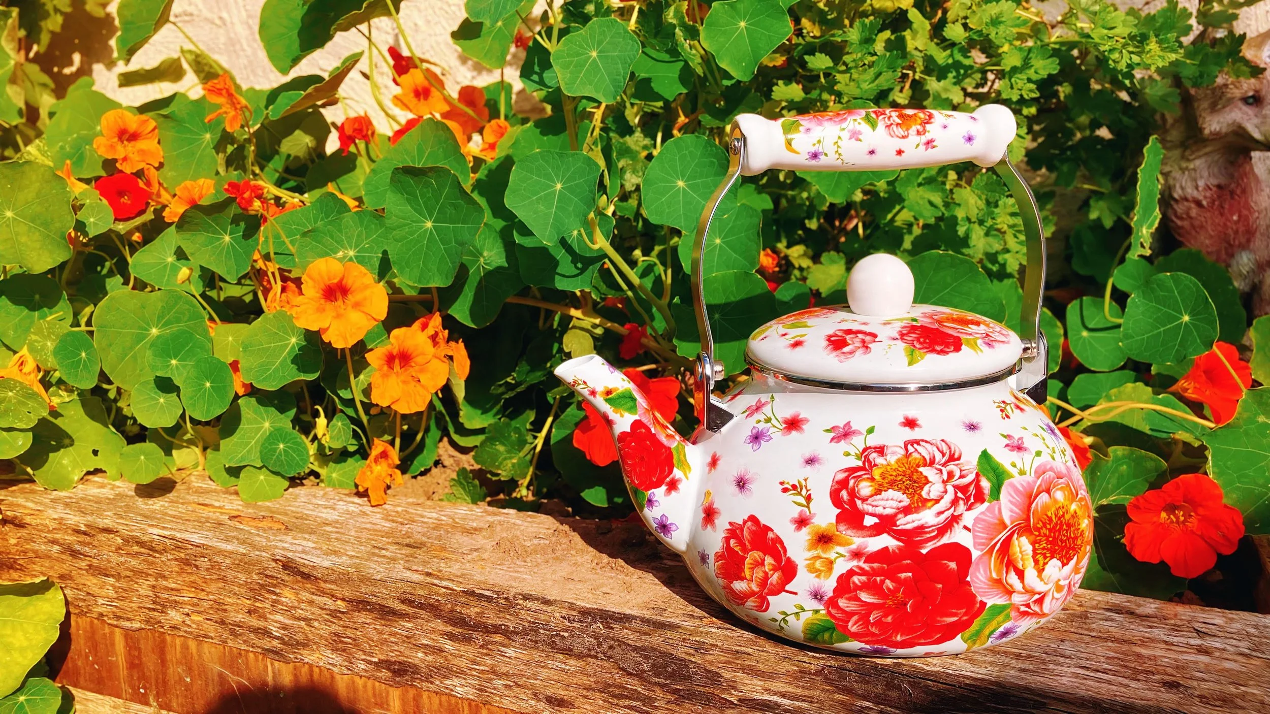 herbal healing medicinal brews at a women's retreat day in Bristol