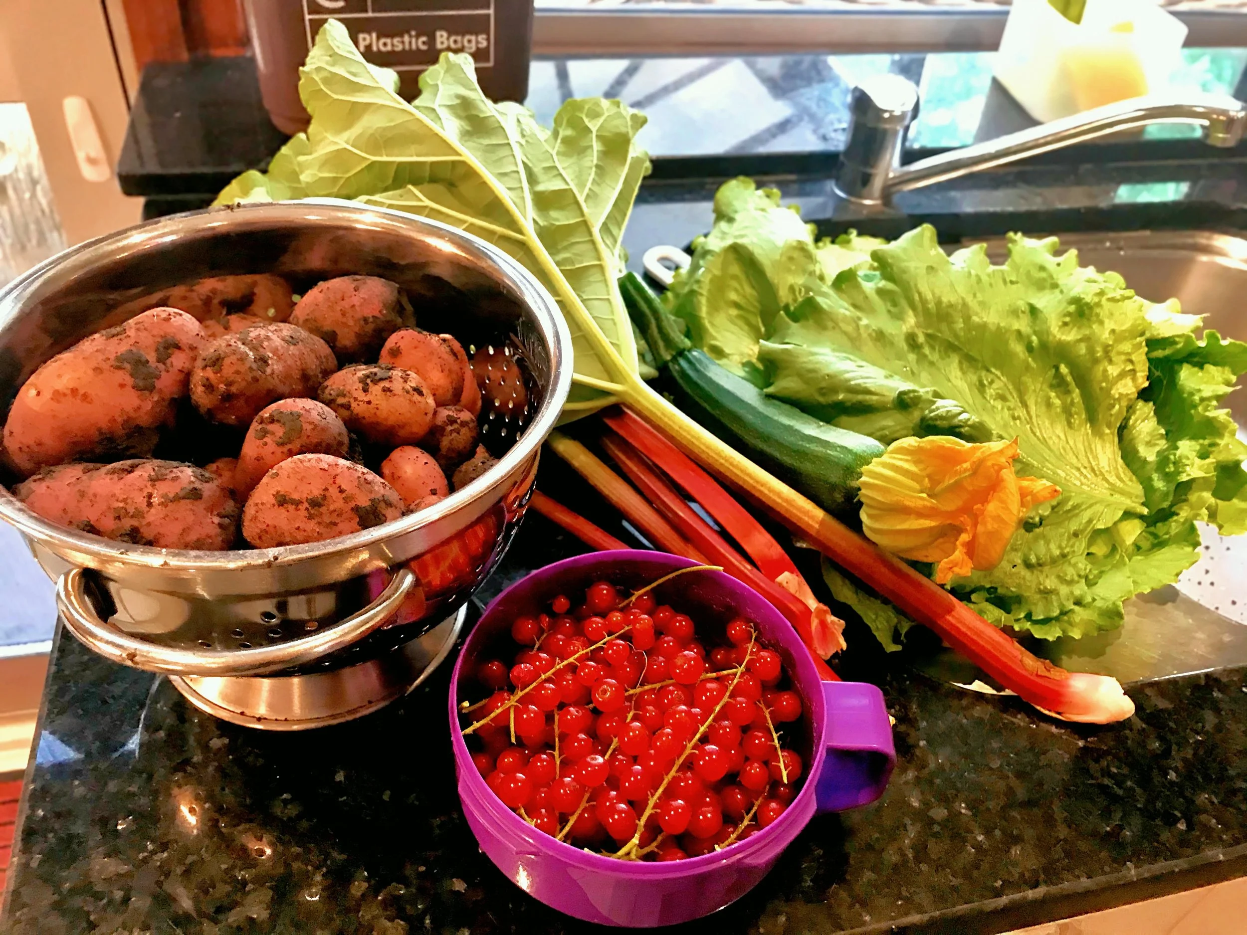 vegan organic homegrown vegetables on a womens day retreat