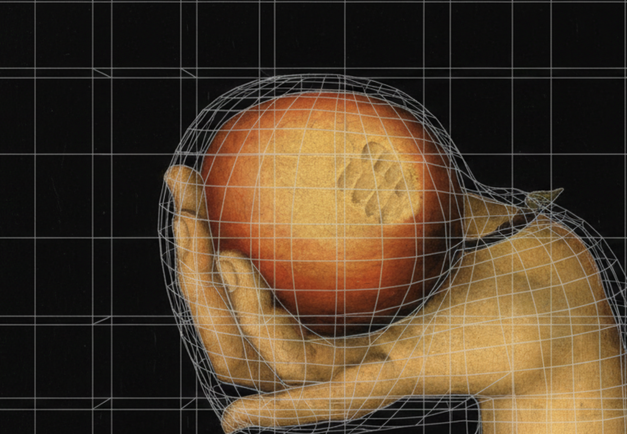 Image of a hand holding a peach with digital wireframe overlay, grid lines visible in the background.