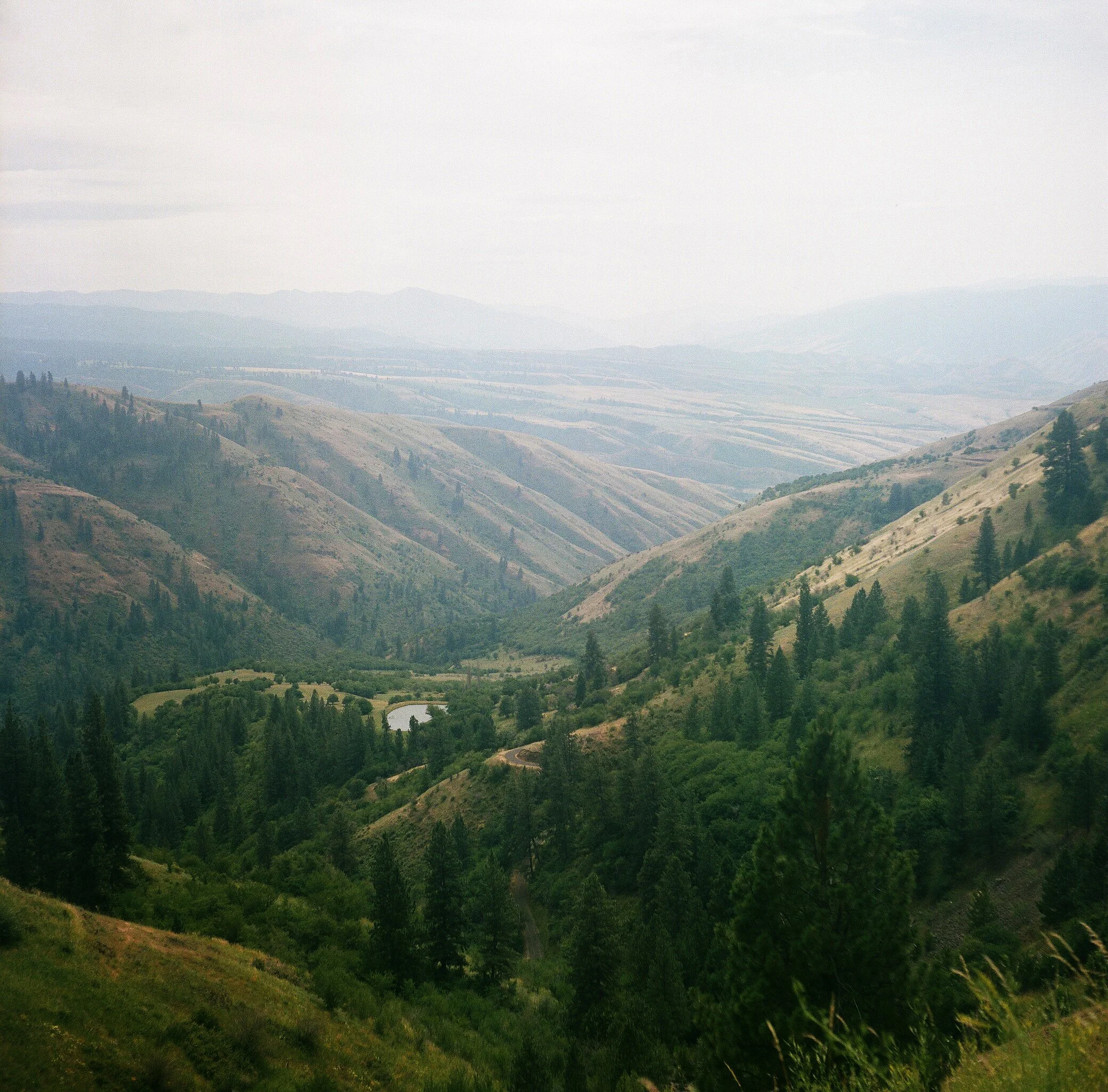 NEZ PIERCE VALLEY.jpg