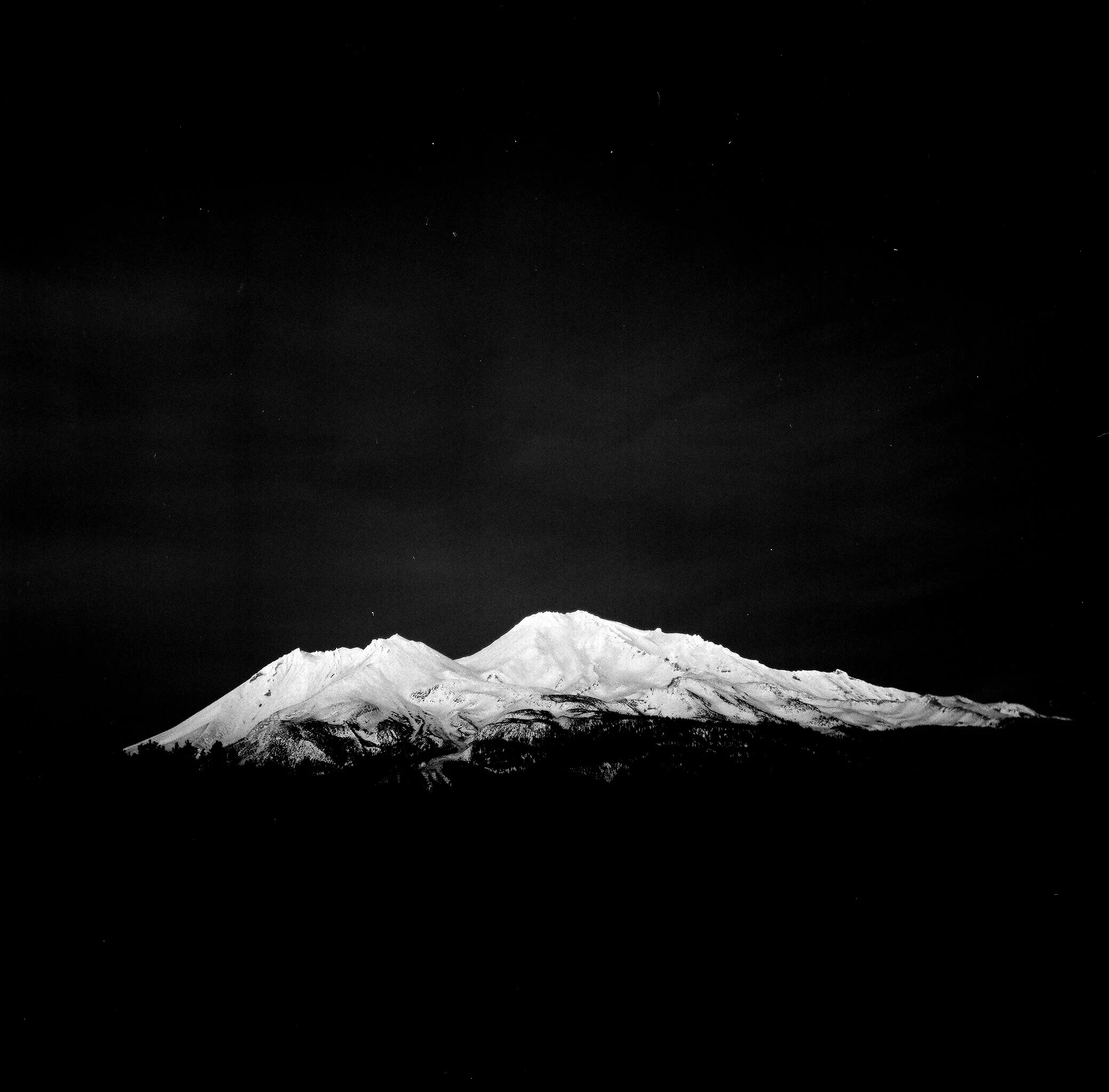 Shasta.jpg