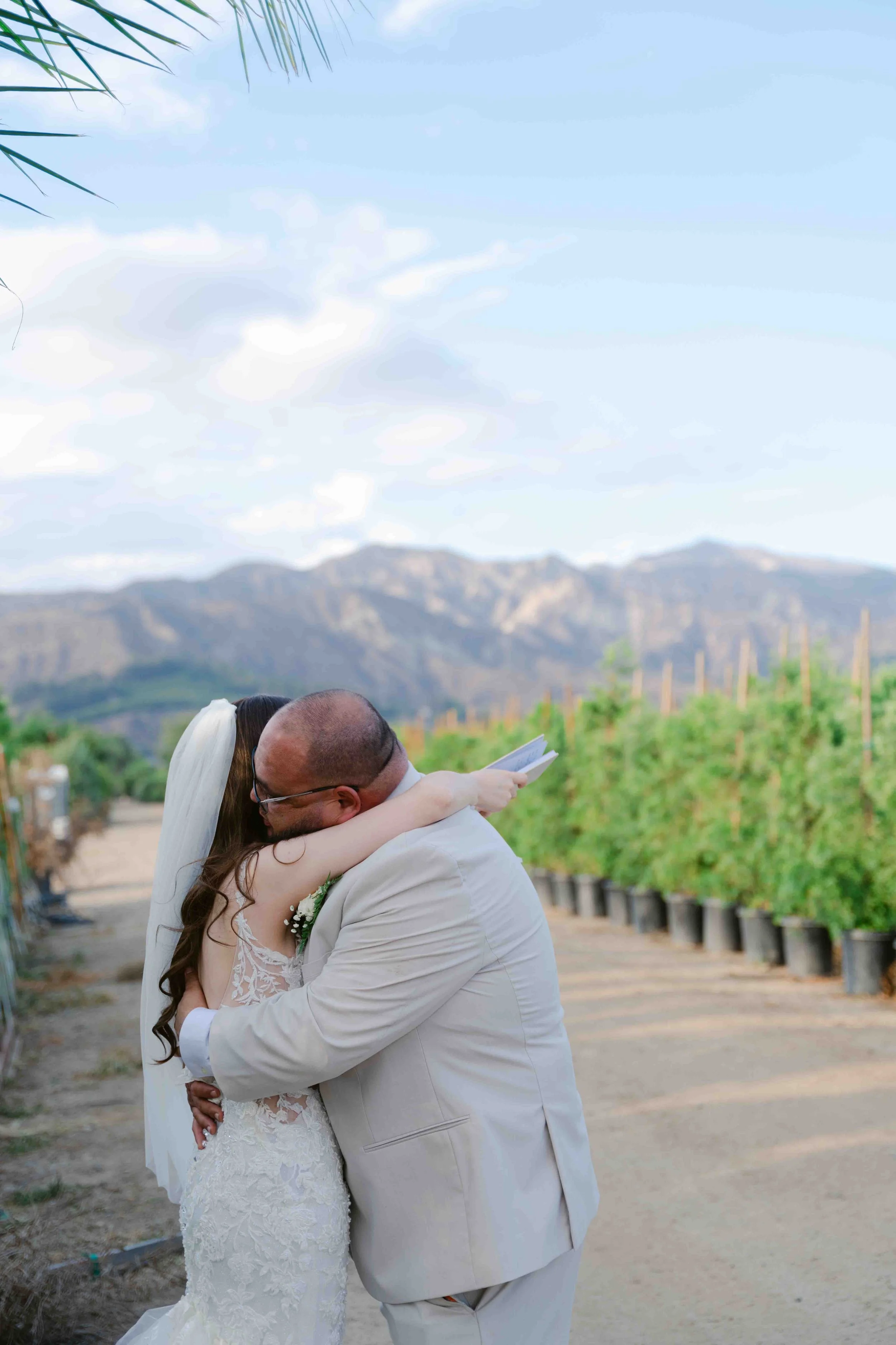 A bride and groom hugging outdoors in a vineyard with mountains in the background.