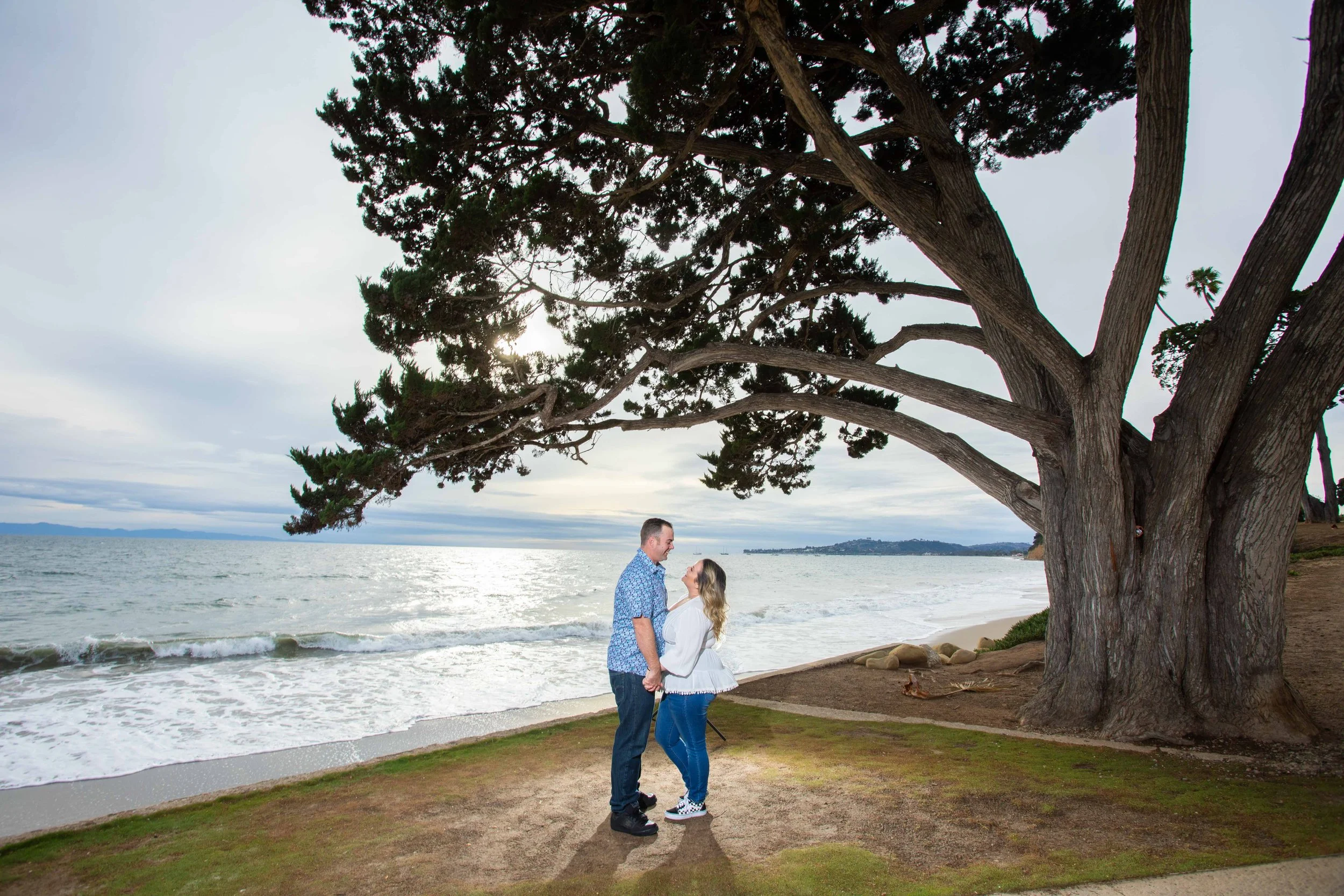 A couple holding hands and smiling at each other near the ocean on a beach, standing under a large, sprawling tree with the ocean and a distant shoreline in the background.