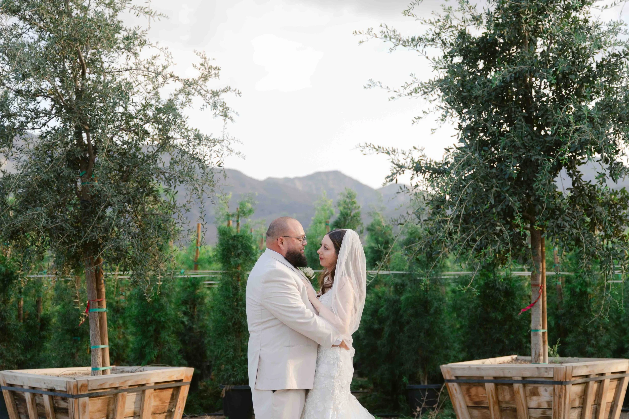 A bride and groom embracing outdoors between two potted trees, with mountains in the background.