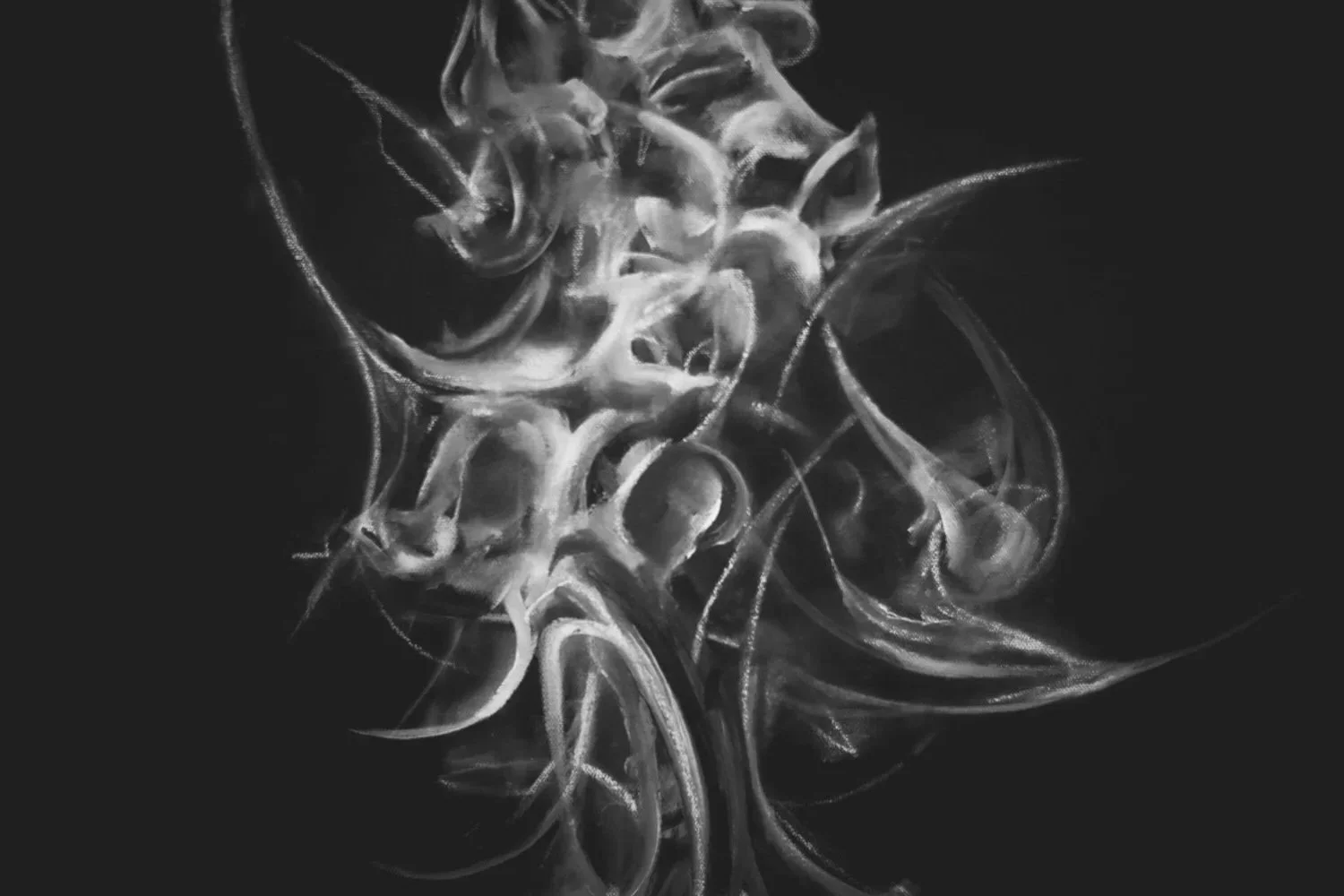 2026-02-21_APORIA_bw-9859_Original.jpg
