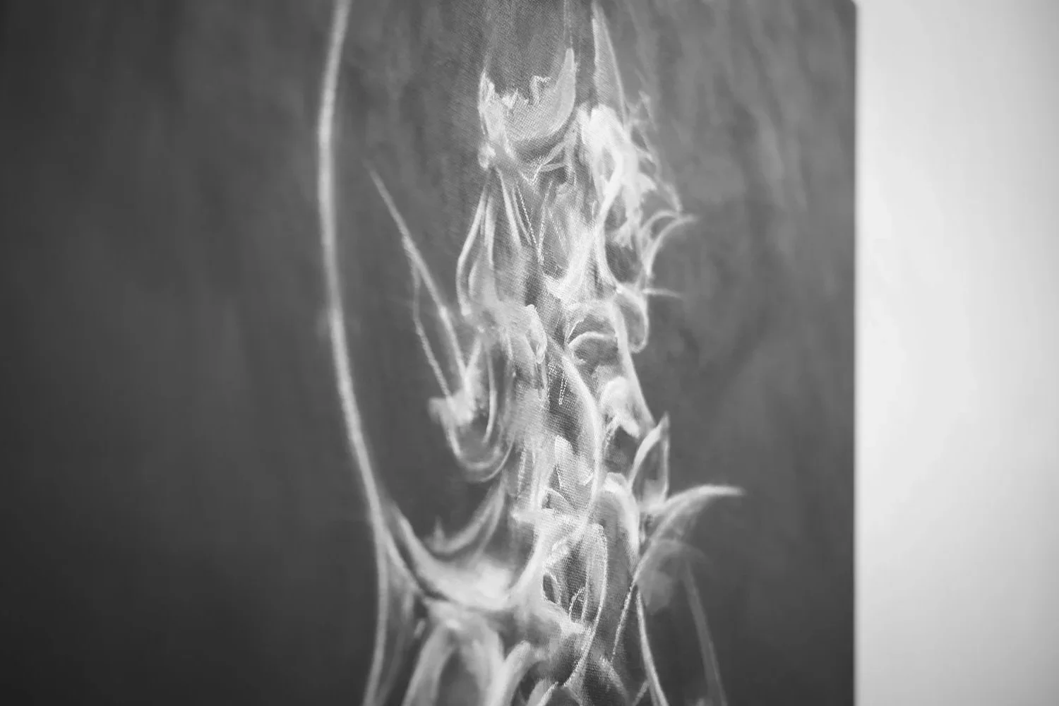 2026-02-21_APORIA_bw-9750_Original.jpg