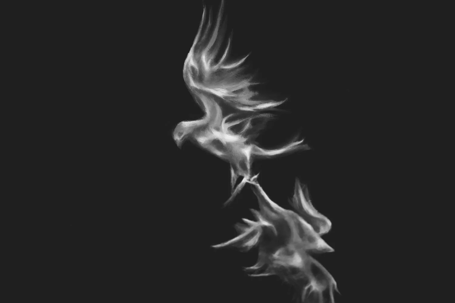 2026-02-21_APORIA_bw-9866_Original.jpg