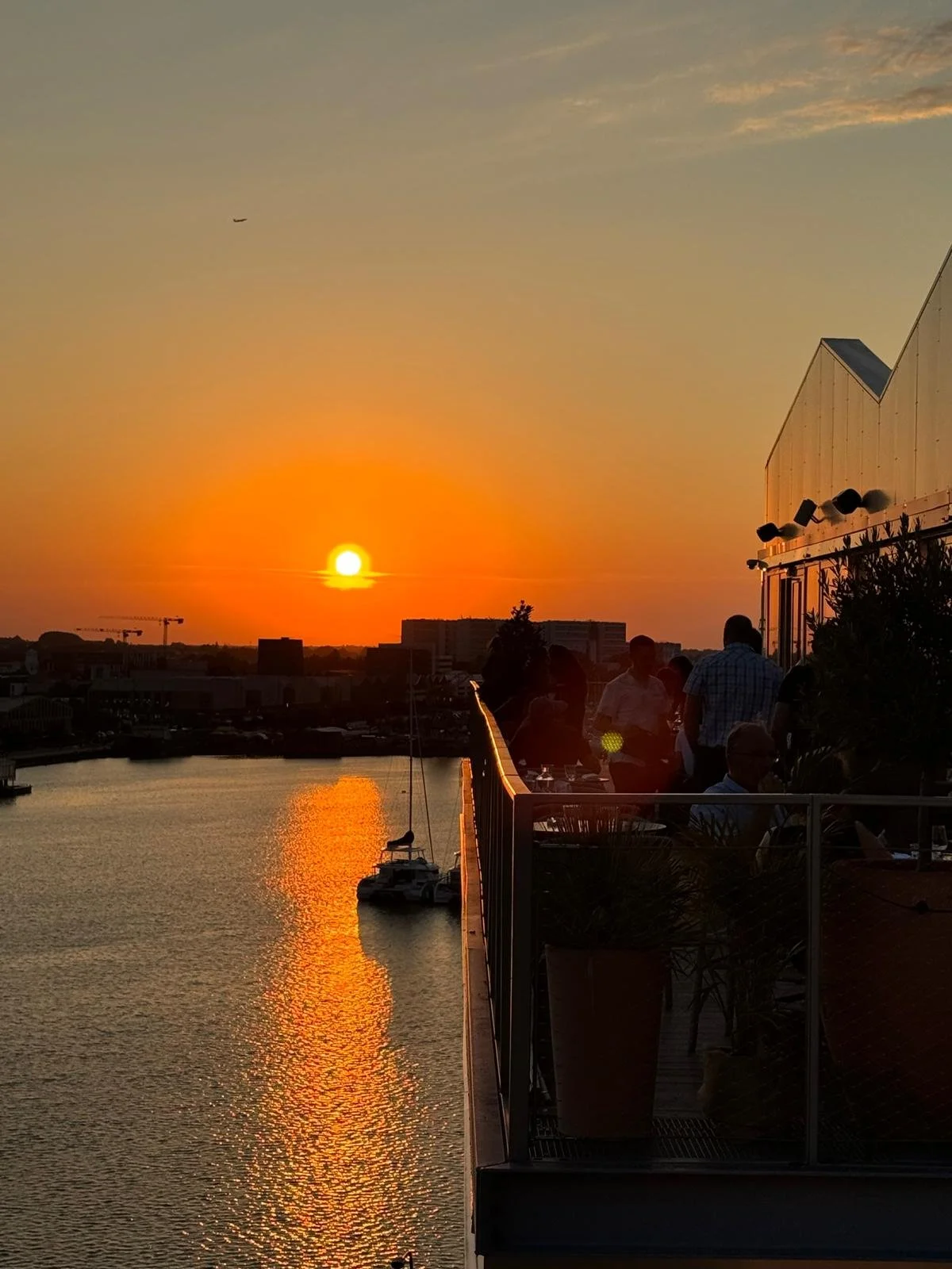 WhatsApp Image 2024-07-18 at 13.42.09.jpeg