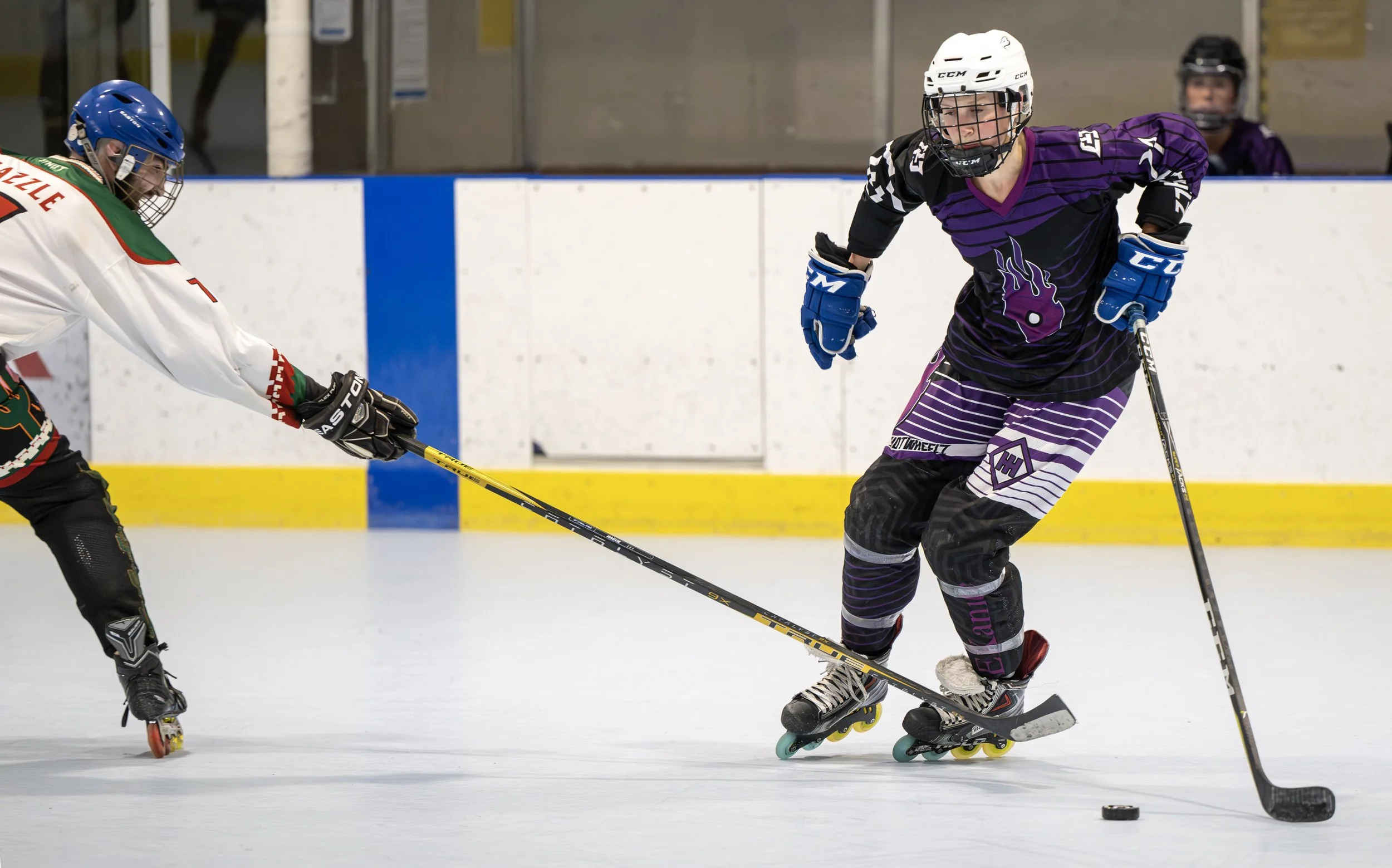 RAM_3881-Enhanced-NR copy.jpg