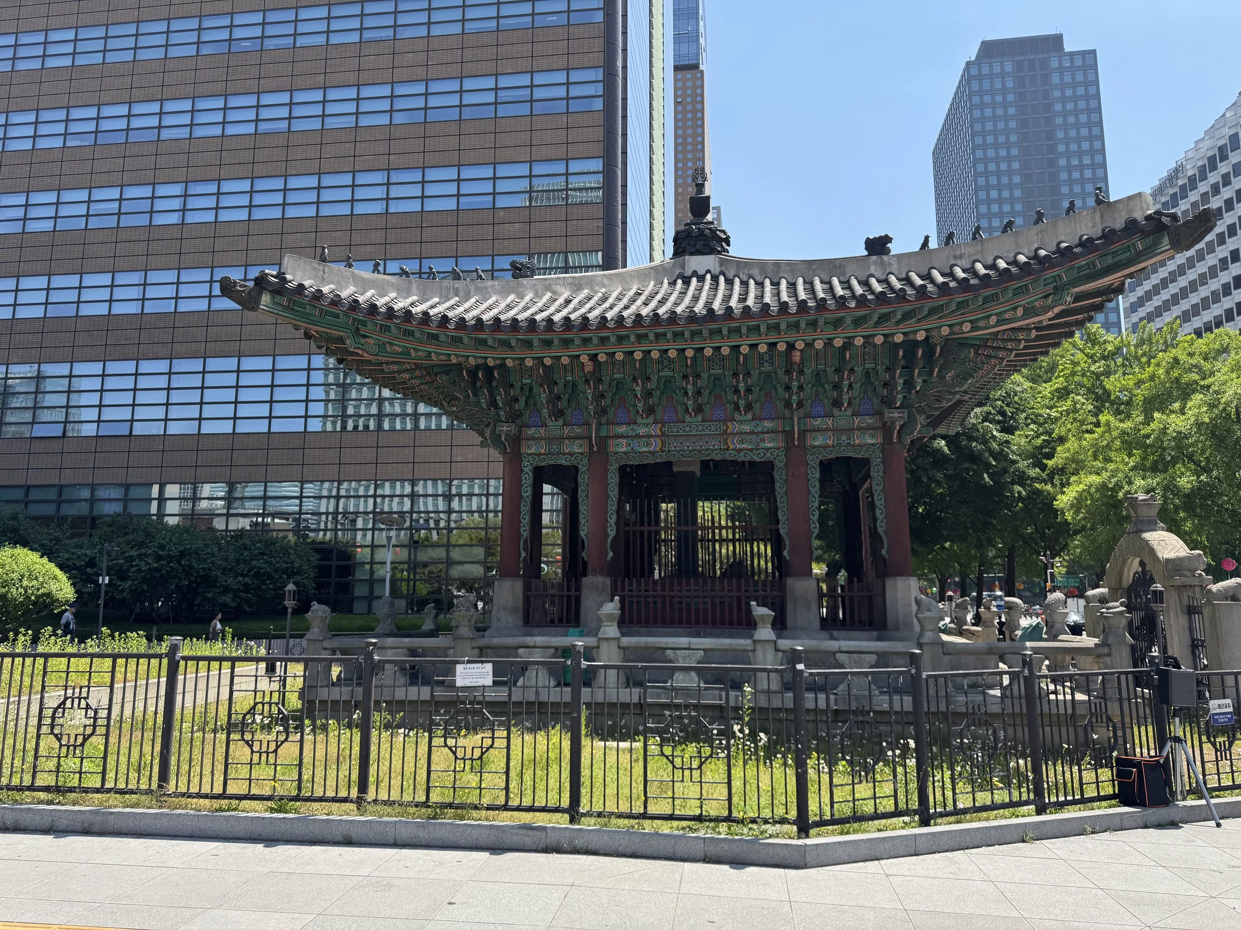 IMG_0309.jpeg