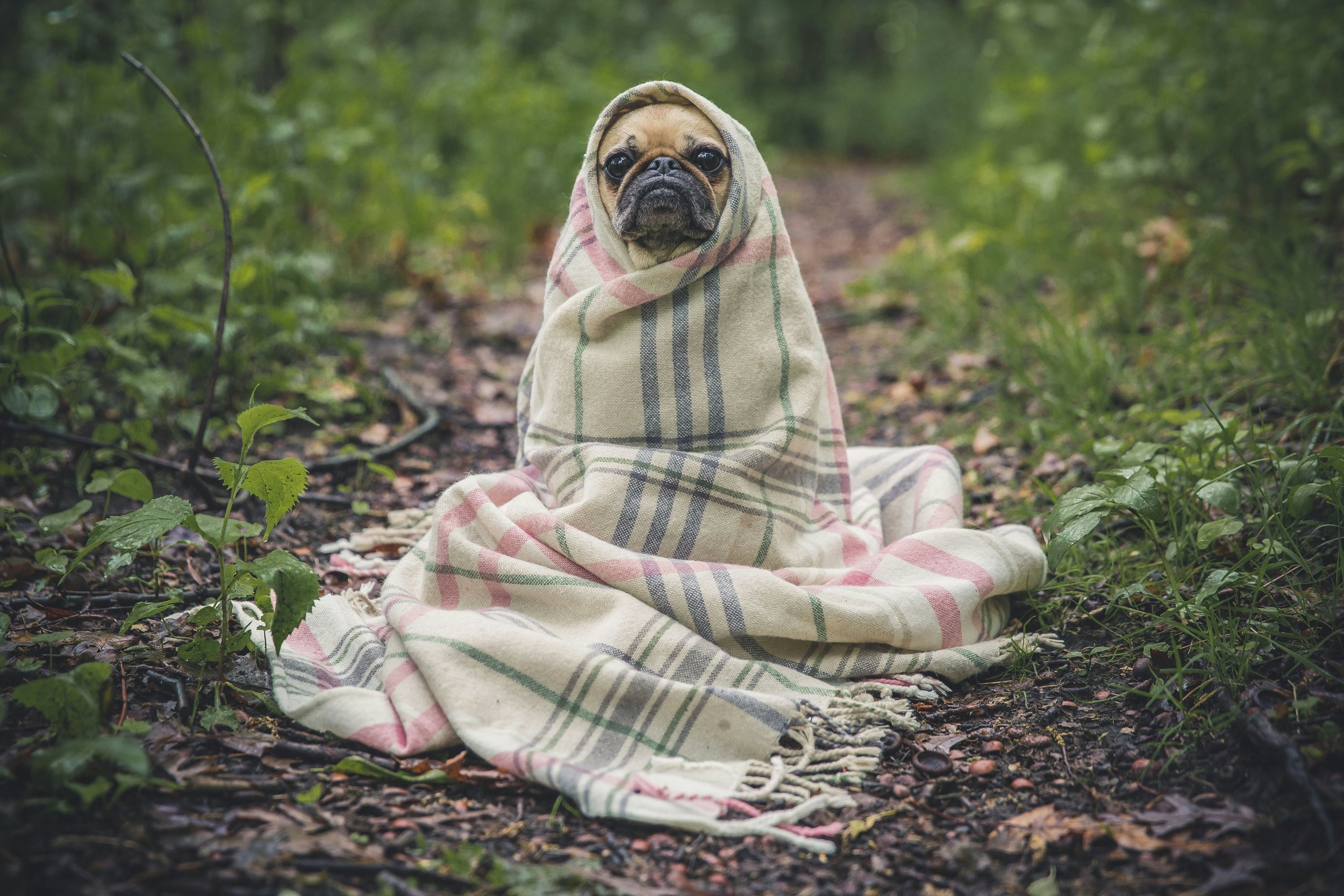 How to Keep Moving When Winter Steals Your Mojo: 5 Evidence-Based Ways to Stay Motivated
