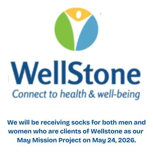 Wellstone 2026.jpg