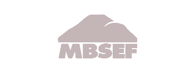 MBSEF.png