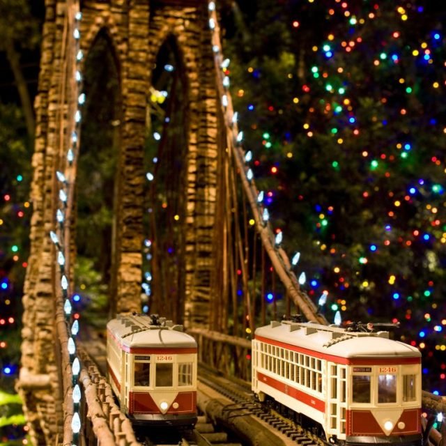 NYBG Holiday Train Show &amp; Anne’s Treeland