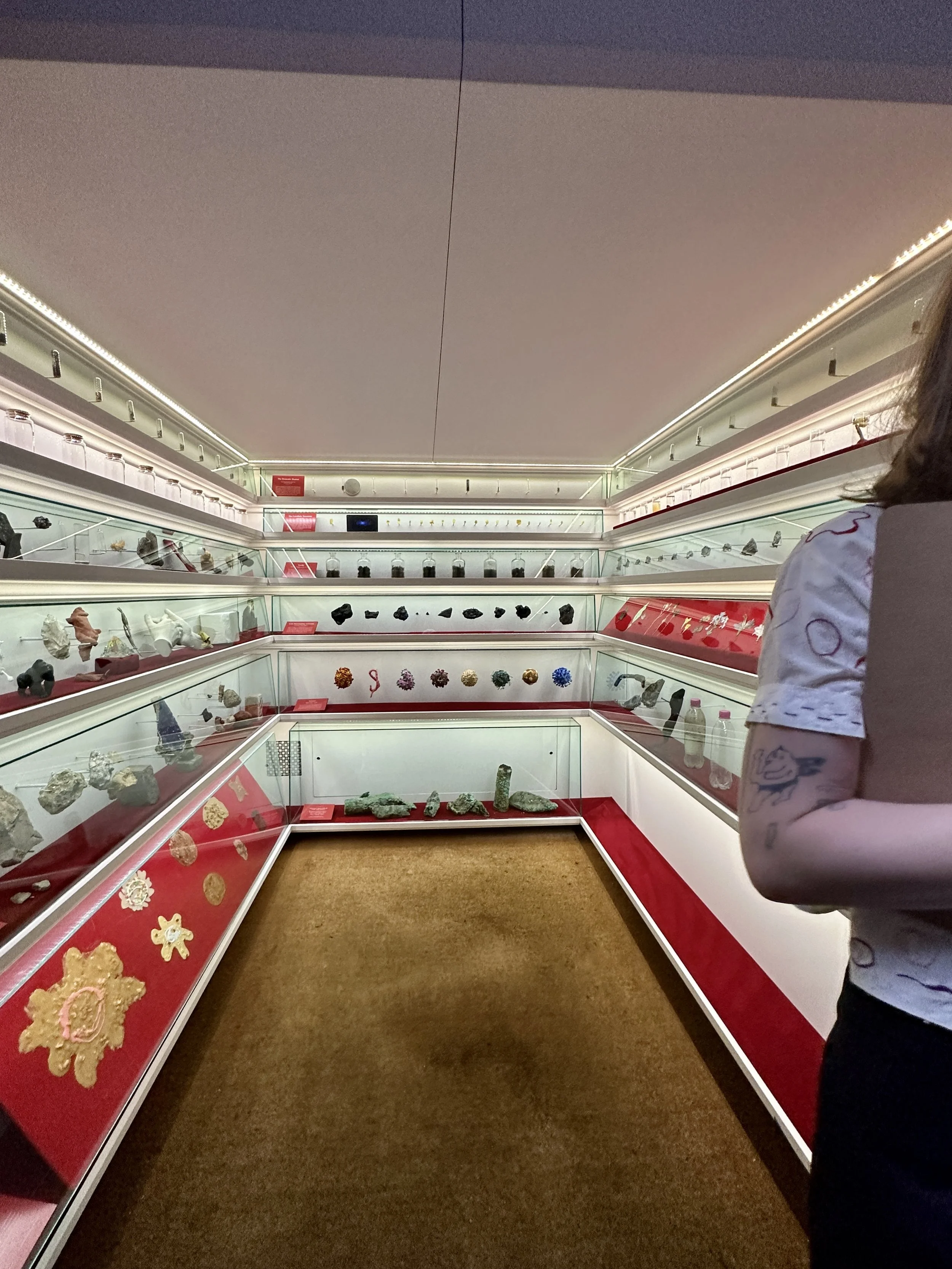 Mmuseum &amp; A Man and His Sandwich tours 