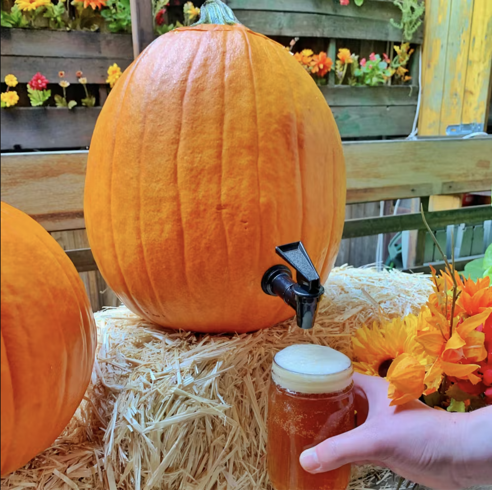 Flying Fox Tavern &amp; Loreley Beer Garden