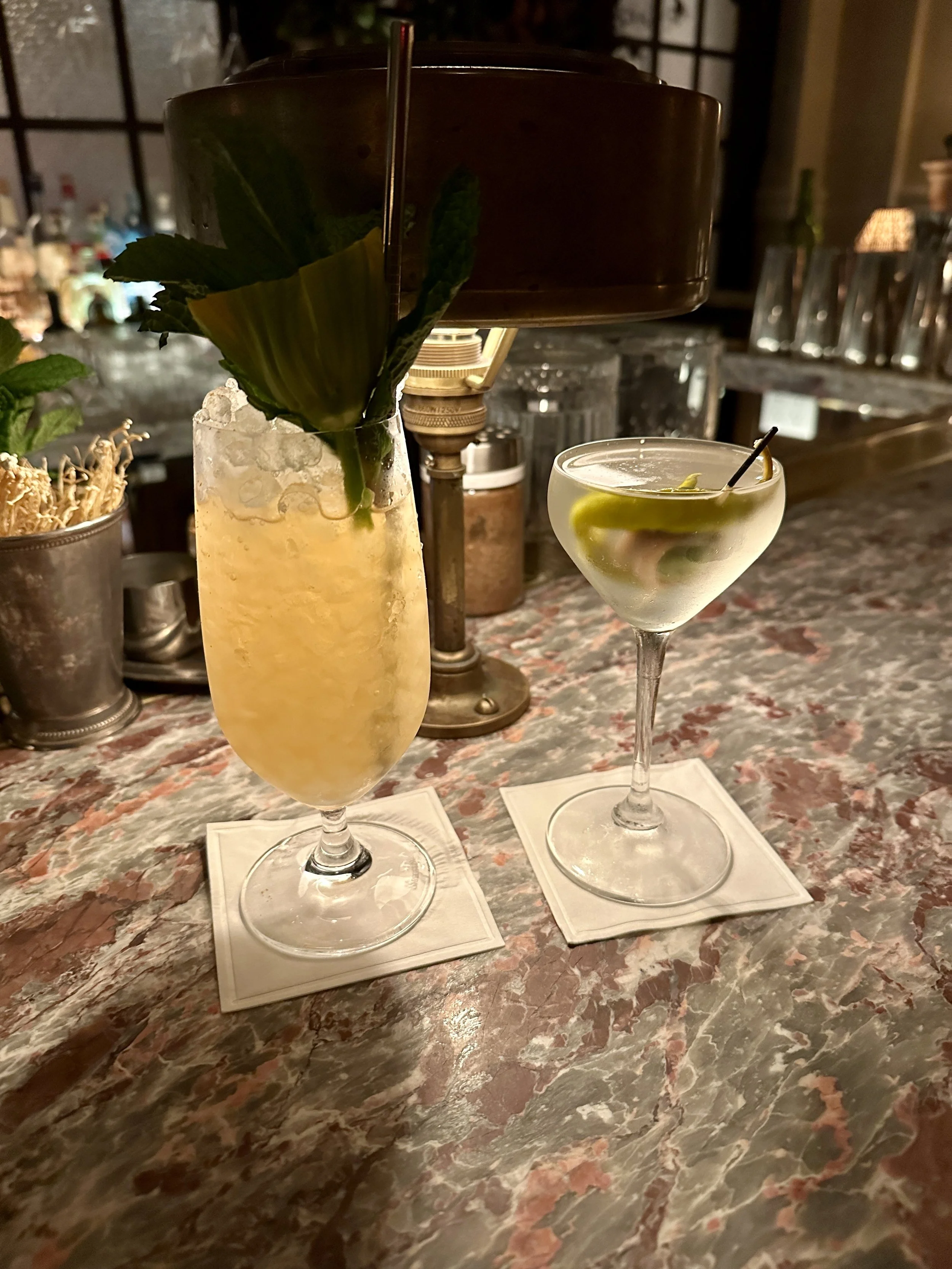 Swan Room &amp; Past Lives