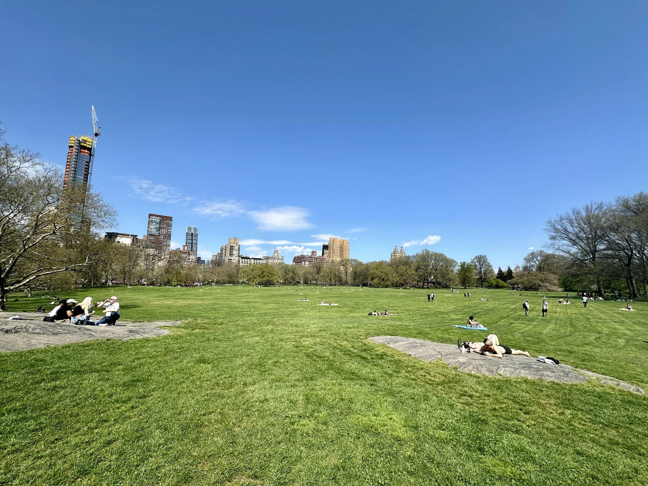 WiFi in Parks &amp; Bud Smith’s Substack