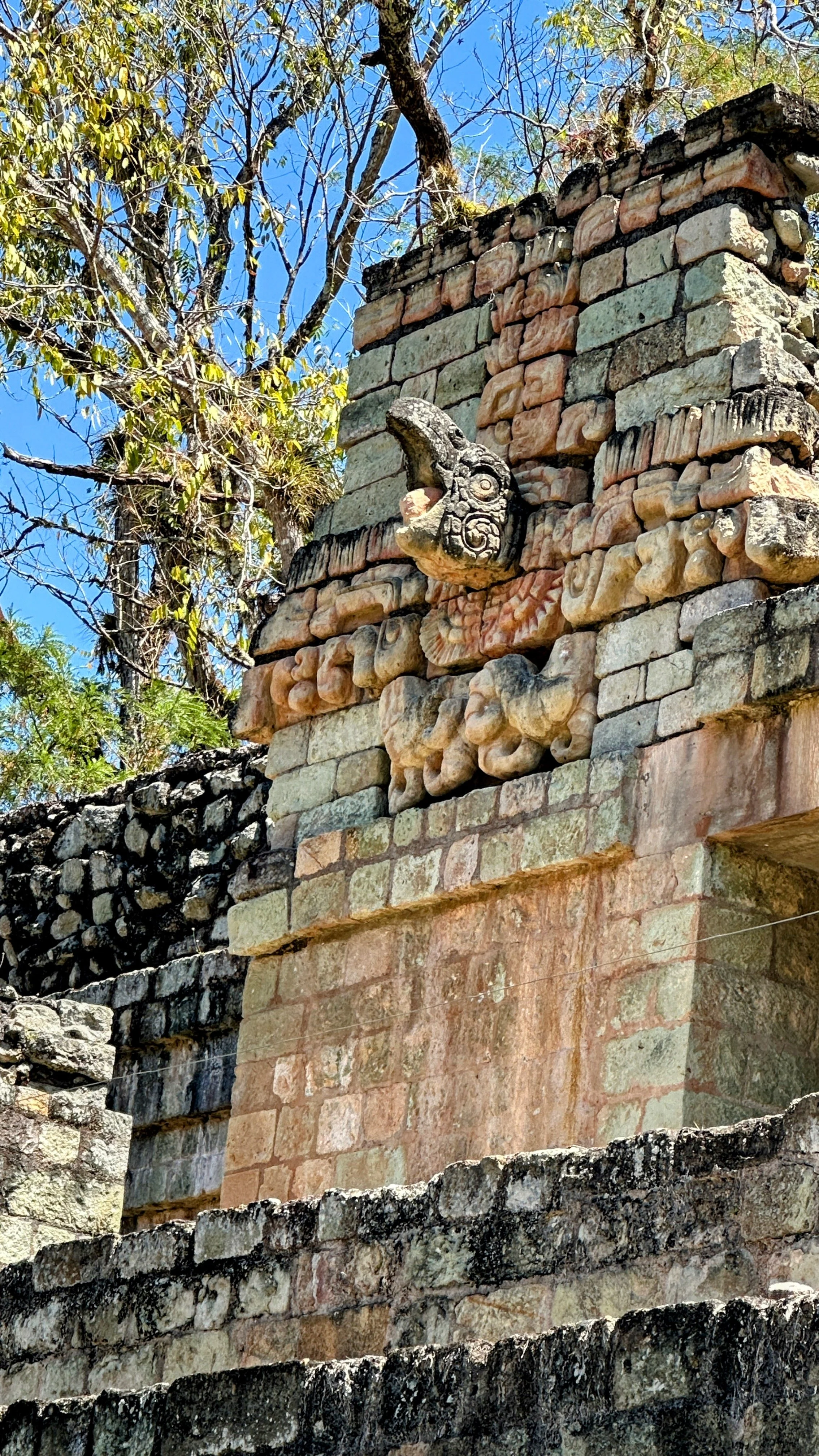 IMG_1552.JPG