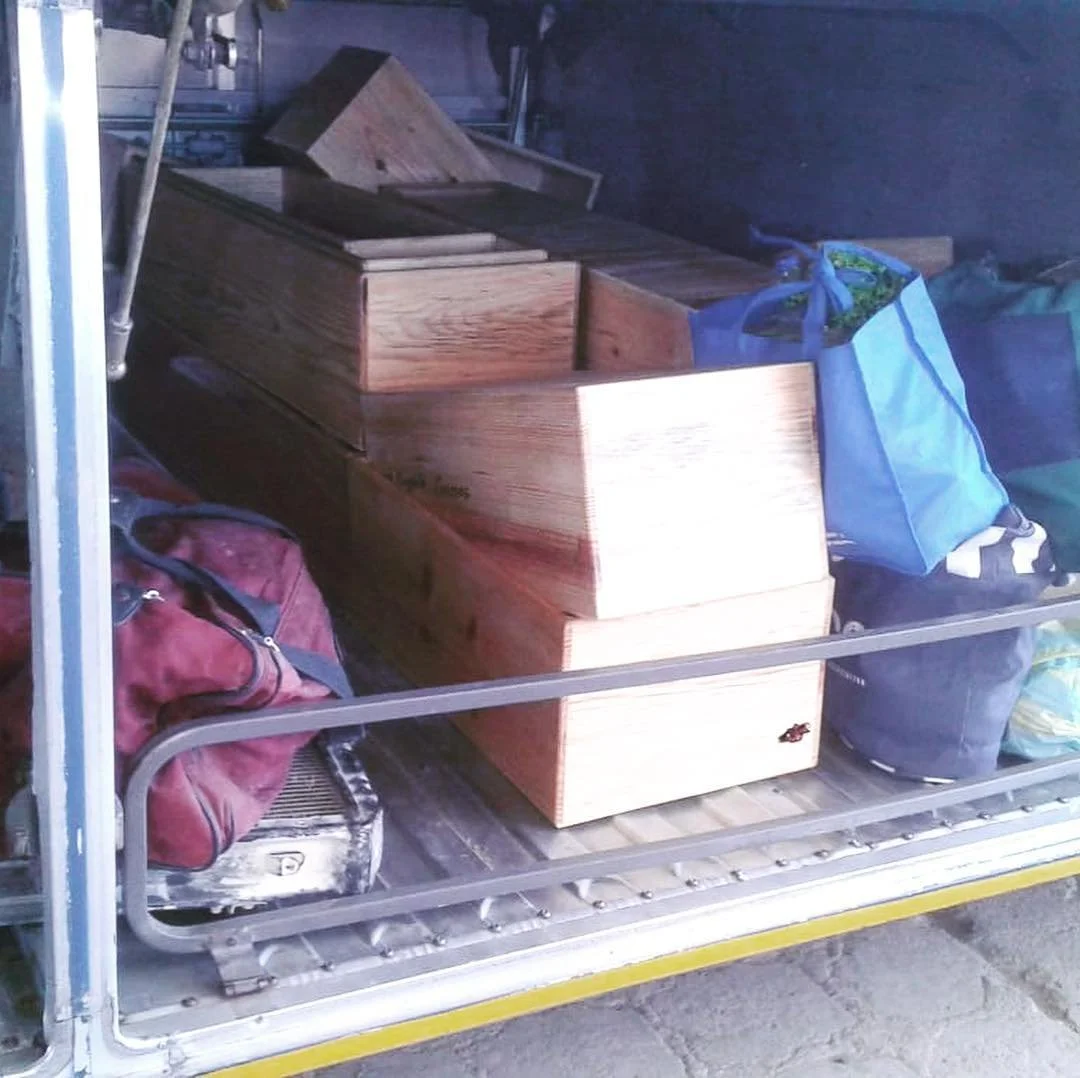 Moving Books (2) (1).jpg