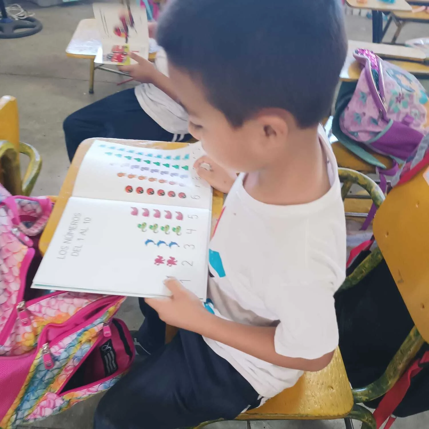 Imagen de WhatsApp 2025-05-29 a las 09.30.09_f4a8c6a9.jpg