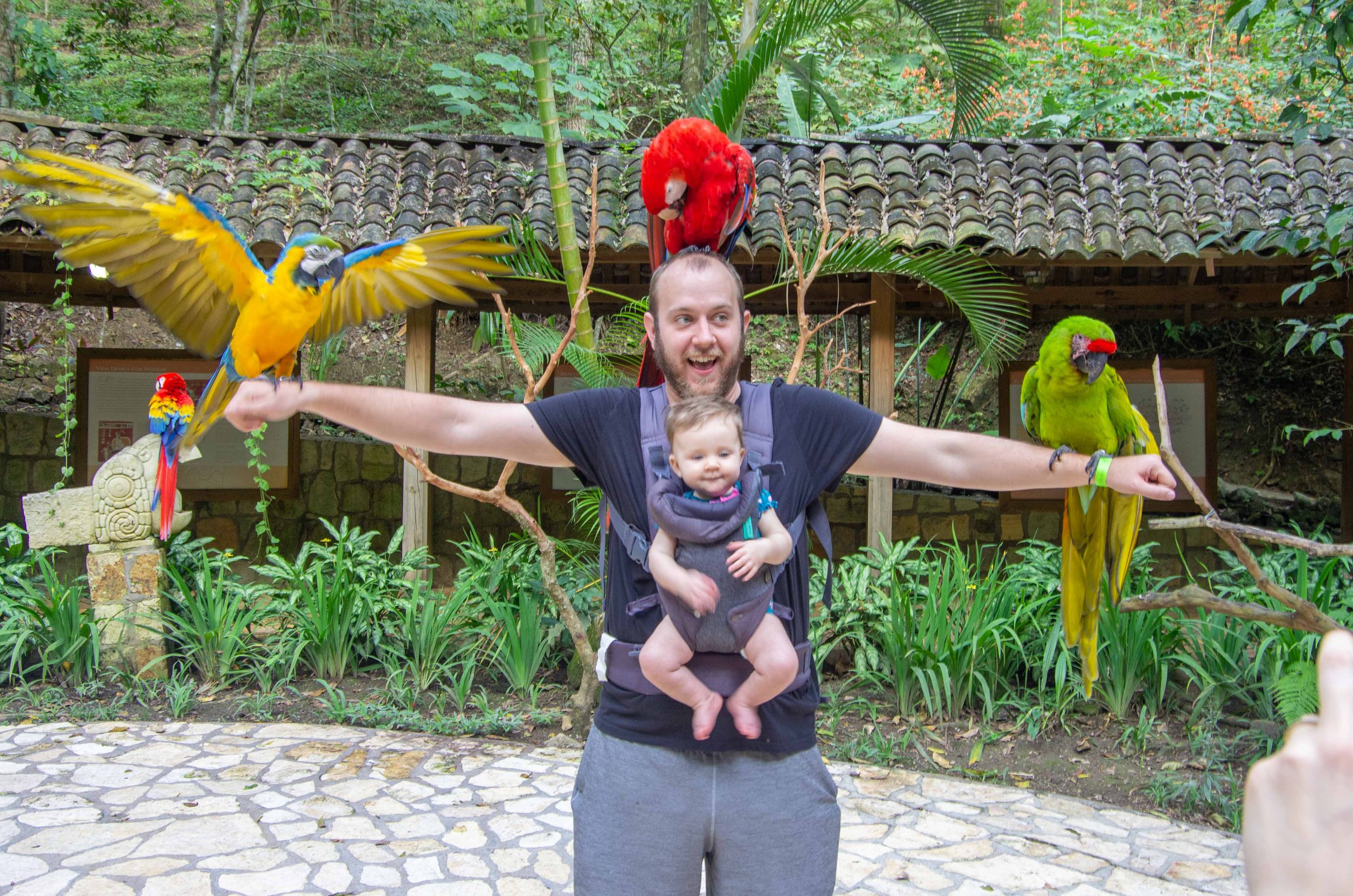 2019-11-30 Macaw Mountain 035_.jpg