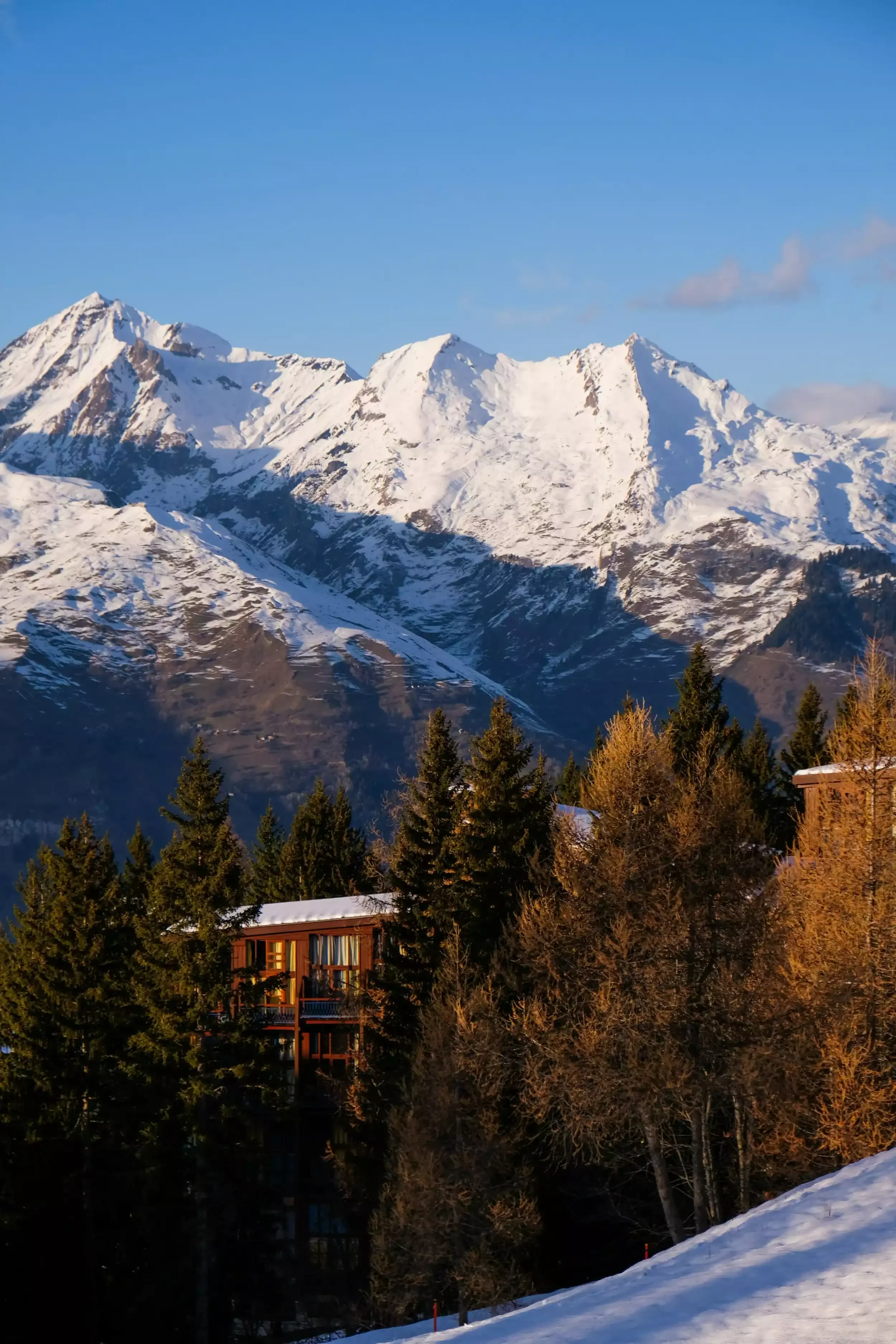 Vue des montagnes enneigées des Arcs sous un ciel bleu. Au premier plan, un chalet en bois avec balcons se dresse entre les pins enneigés.