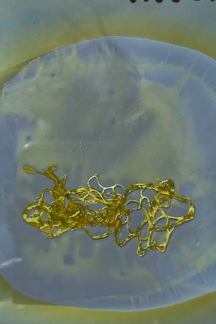 Harmonizing With The Microwave