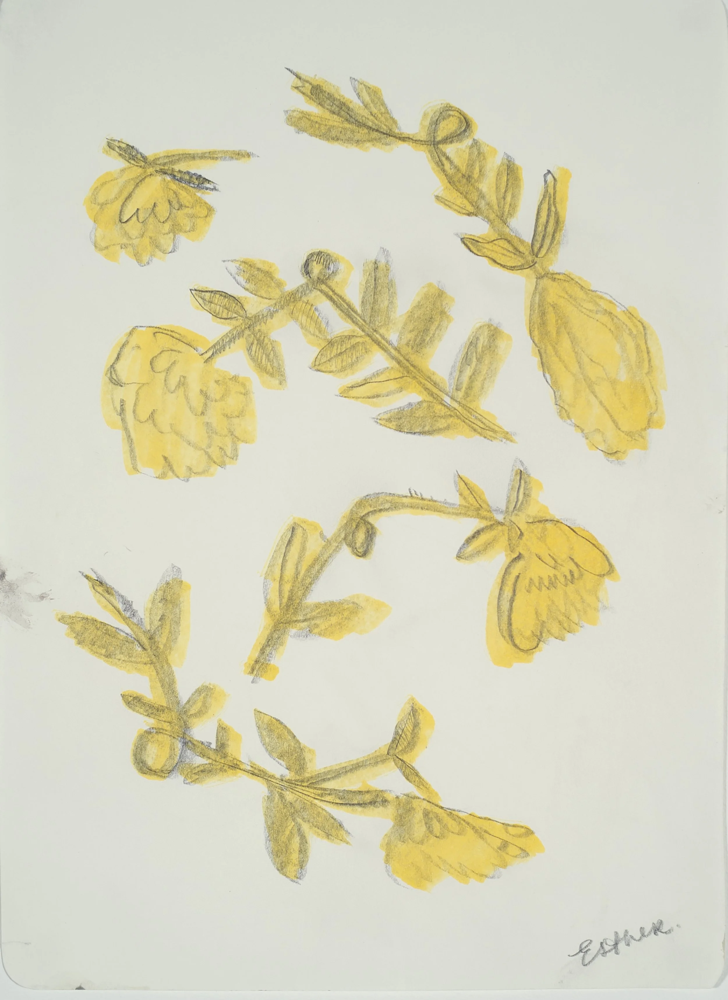 scott_twisted_flowers_9.75x7.25_inches_2026.jpg