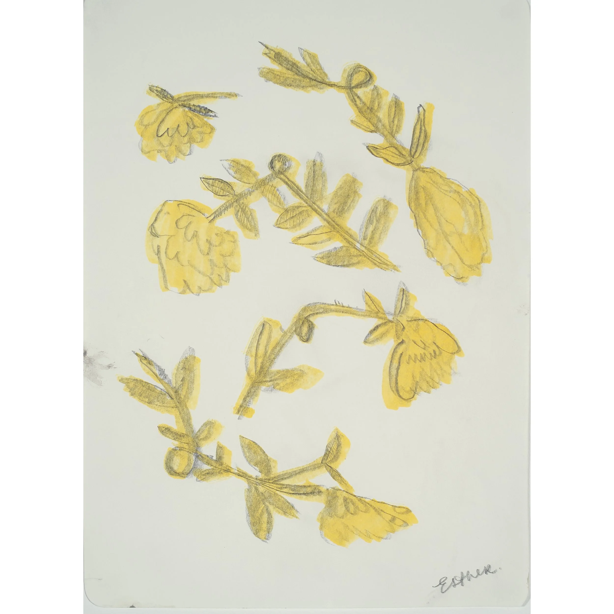 sq-scott_twisted_flowers_9.75x7.25_inches_2026 copy.jpg