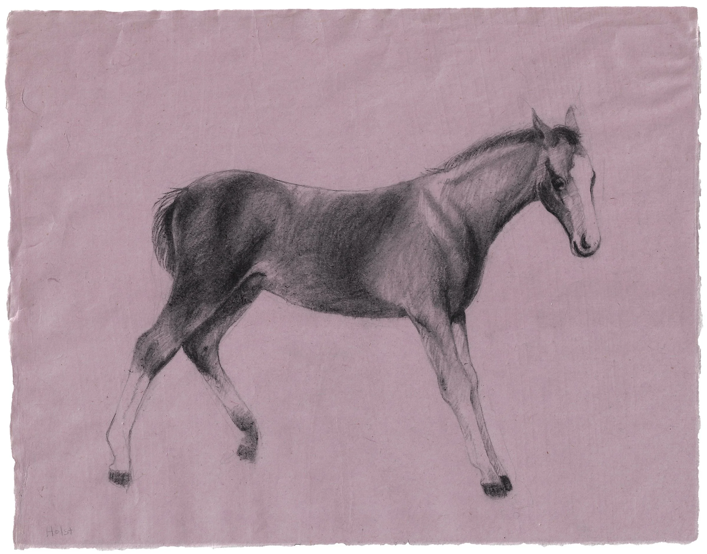 Dana Holst (Edmonton, AB)
Foal, 2026
charcoal on kozo paper
7 x 9"
$250 unframed - click to purchase