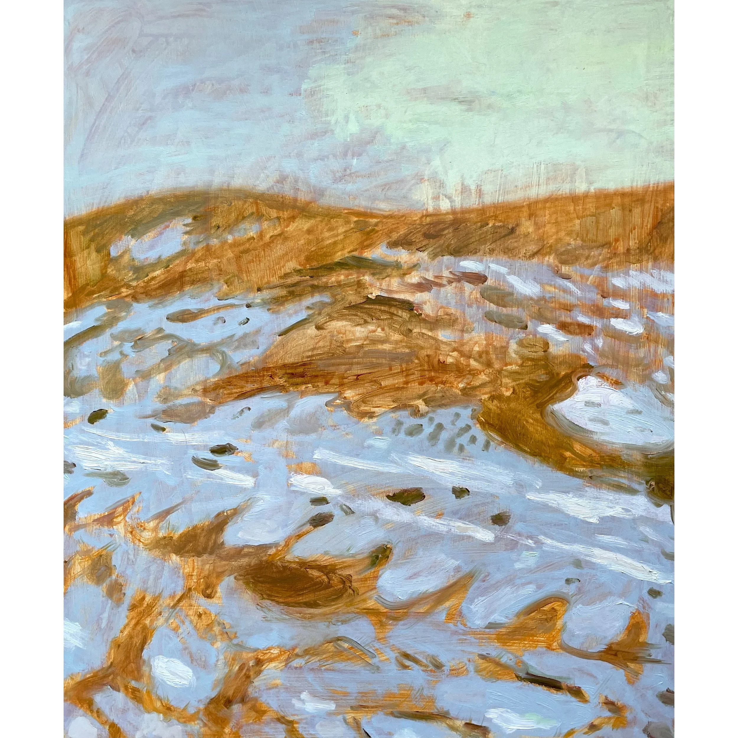 NoseHillSWatson copy.jpg