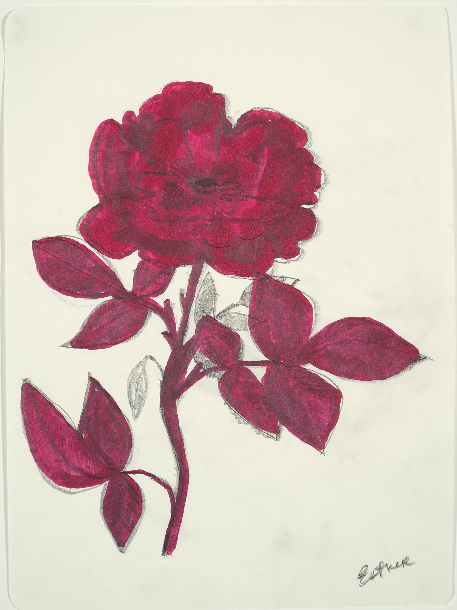 scott_wine_flowers_9.75x7.25_inches_2026 copy.jpg